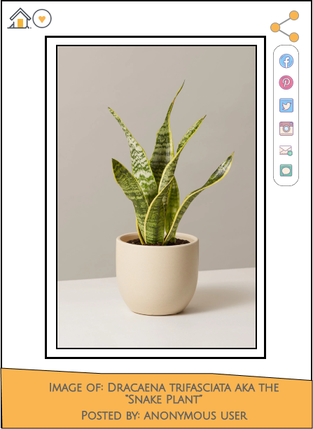 Interface for image browsing/sharing app.