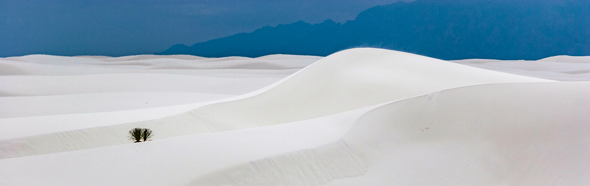 White Sands National Monument, New Mexico. Rising from the heart of the Tularosa Basin is one of the world's great natural wonders - the glistening white sands of New Mexico. Great wave-like dunes of gypsum sand have engulfed 275 square miles of desert, creating the world's largest gypsum dunefield. White Sands National Monument preserves a major portion of this unique dunefield, along with the plants and animals that live here.