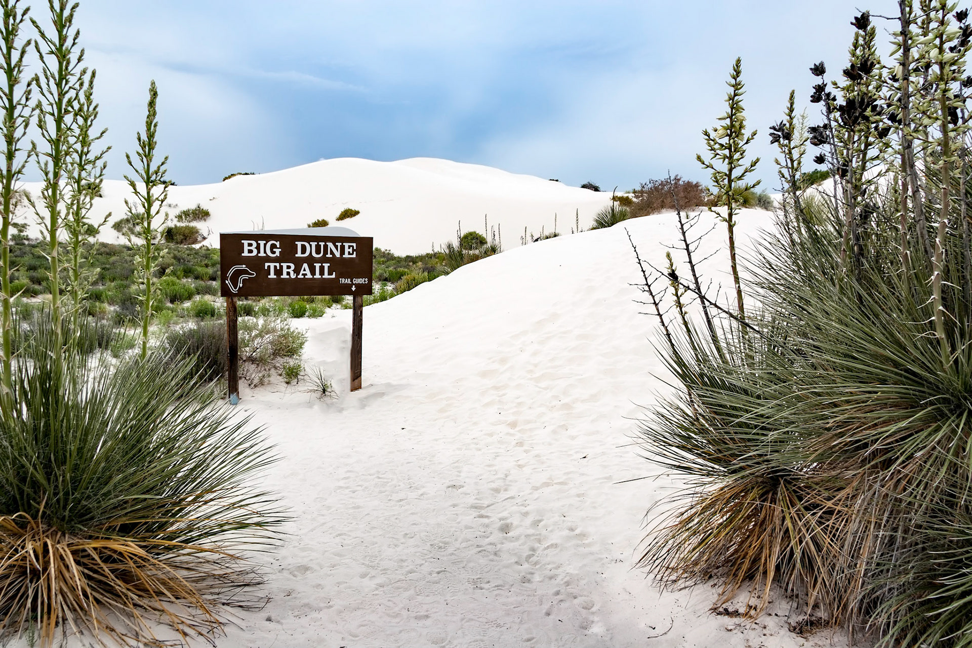 White Sands National Monument, New Mexico. Rising from the heart of the Tularosa Basin is one of the world's great natural wonders - the glistening white sands of New Mexico. Great wave-like dunes of gypsum sand have engulfed 275 square miles of desert, creating the world's largest gypsum dunefield. White Sands National Monument preserves a major portion of this unique dunefield, along with the plants and animals that live here.