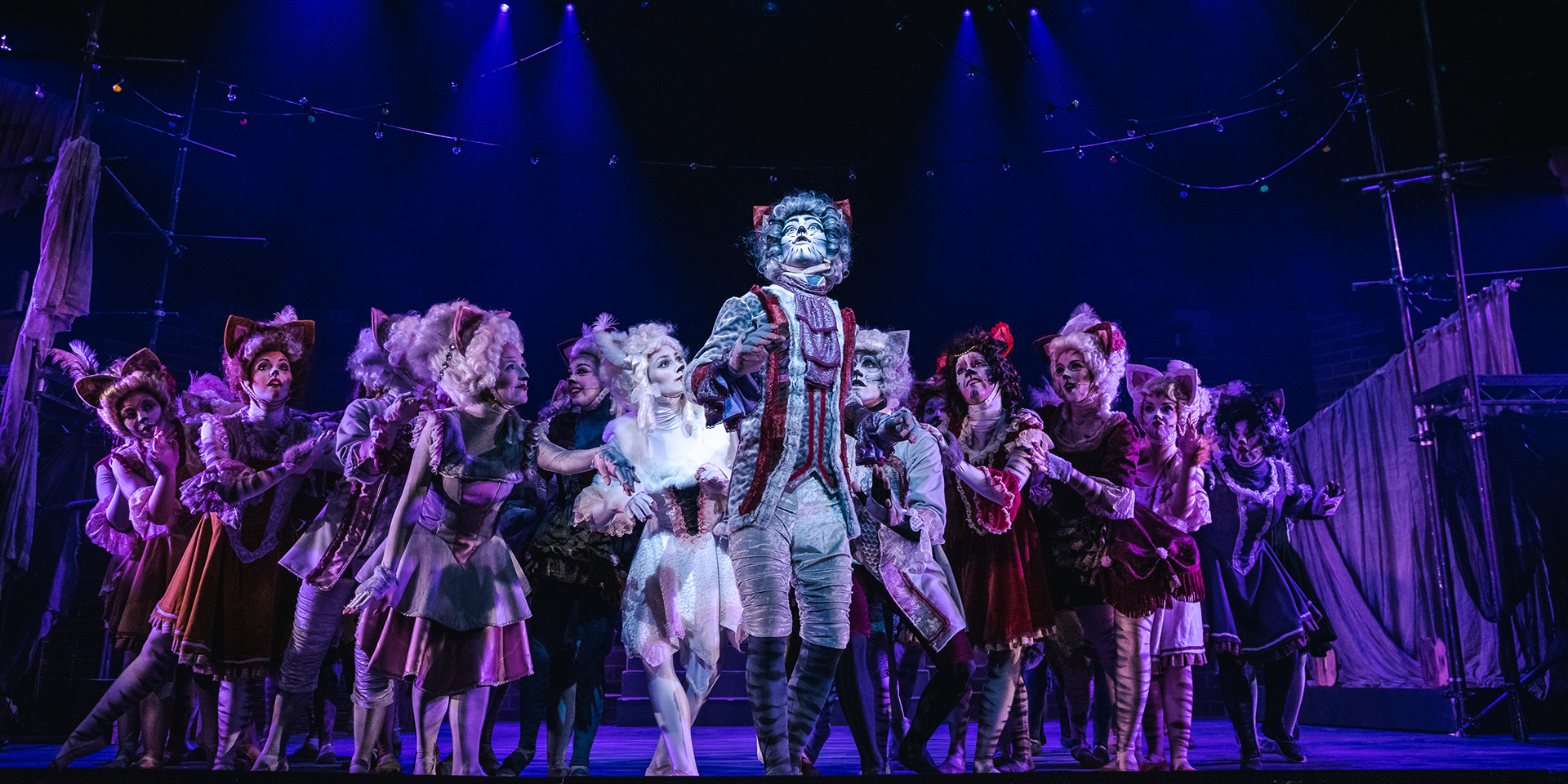 Cats The Musical