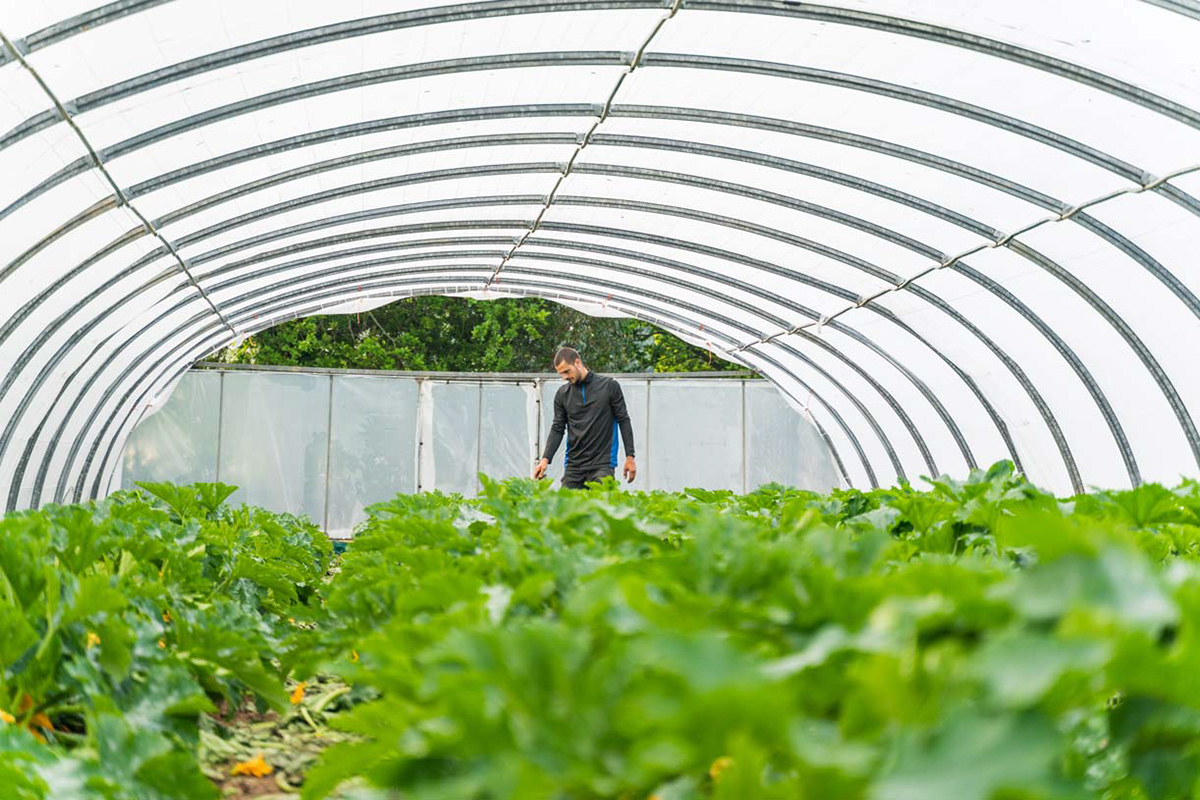 agriculteur