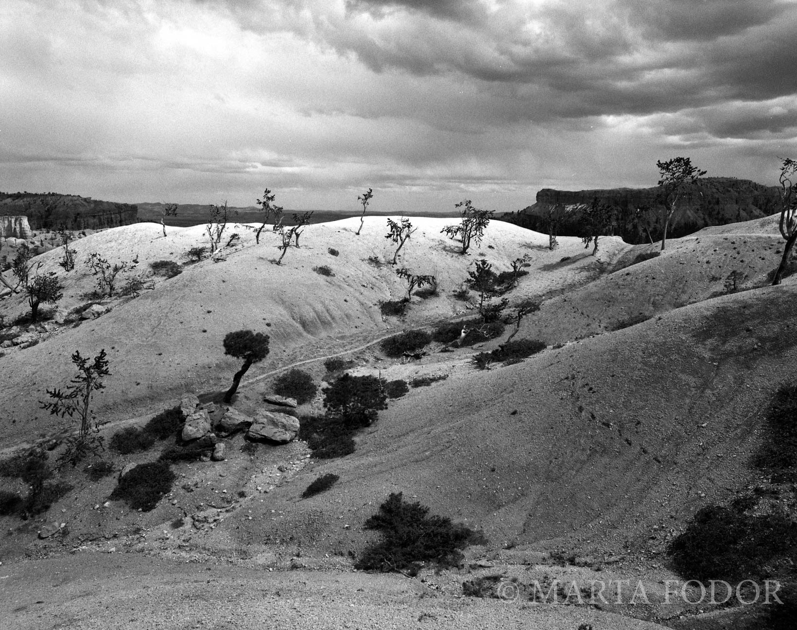 Bryce Canyon National Park, Utah