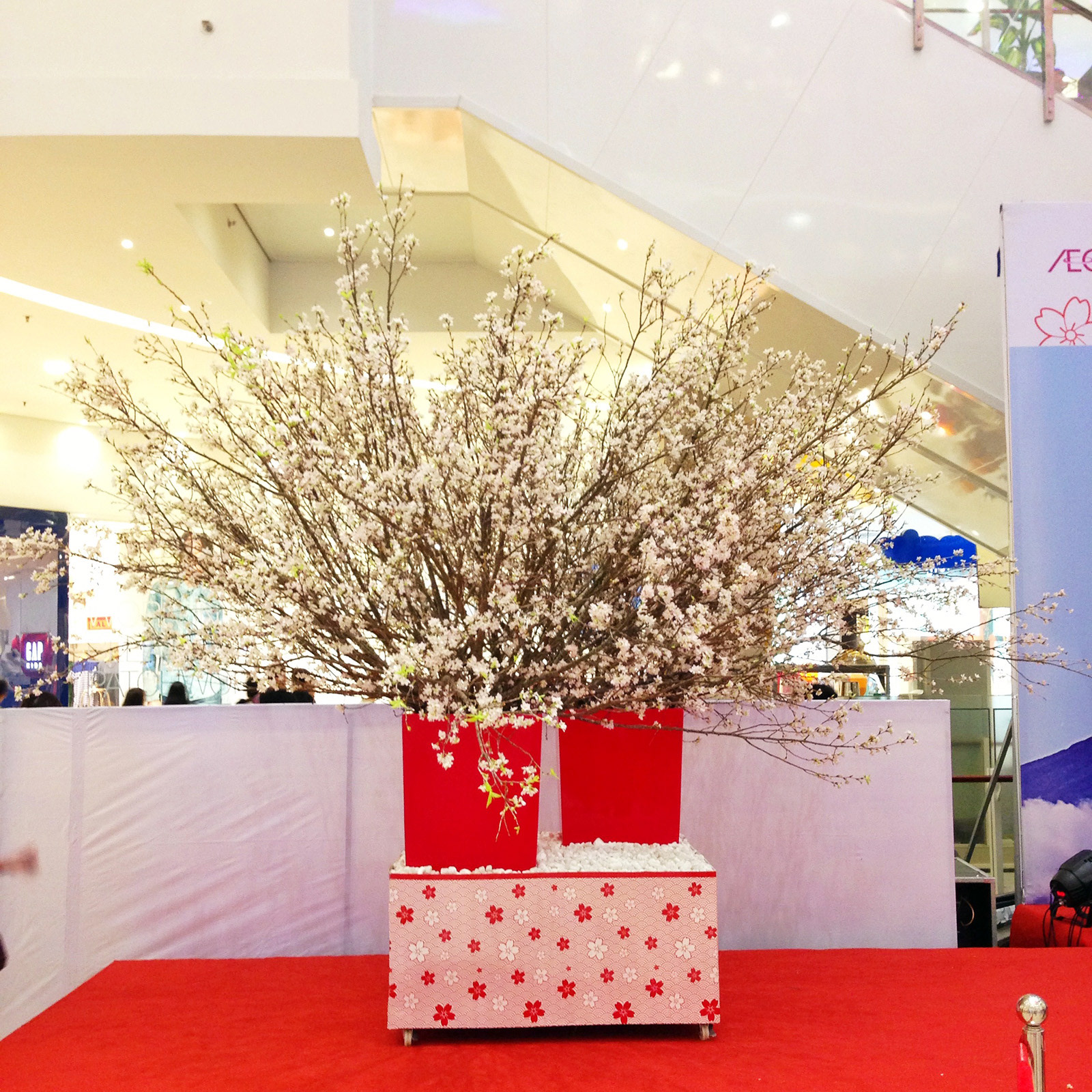 AEON TÂN PHÚ CELADON OPENING