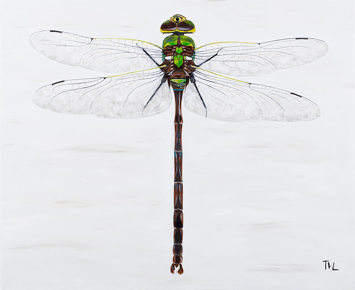 JASPER THE DRAGONFLY 37 x 29 Acrylic on Canvas $495