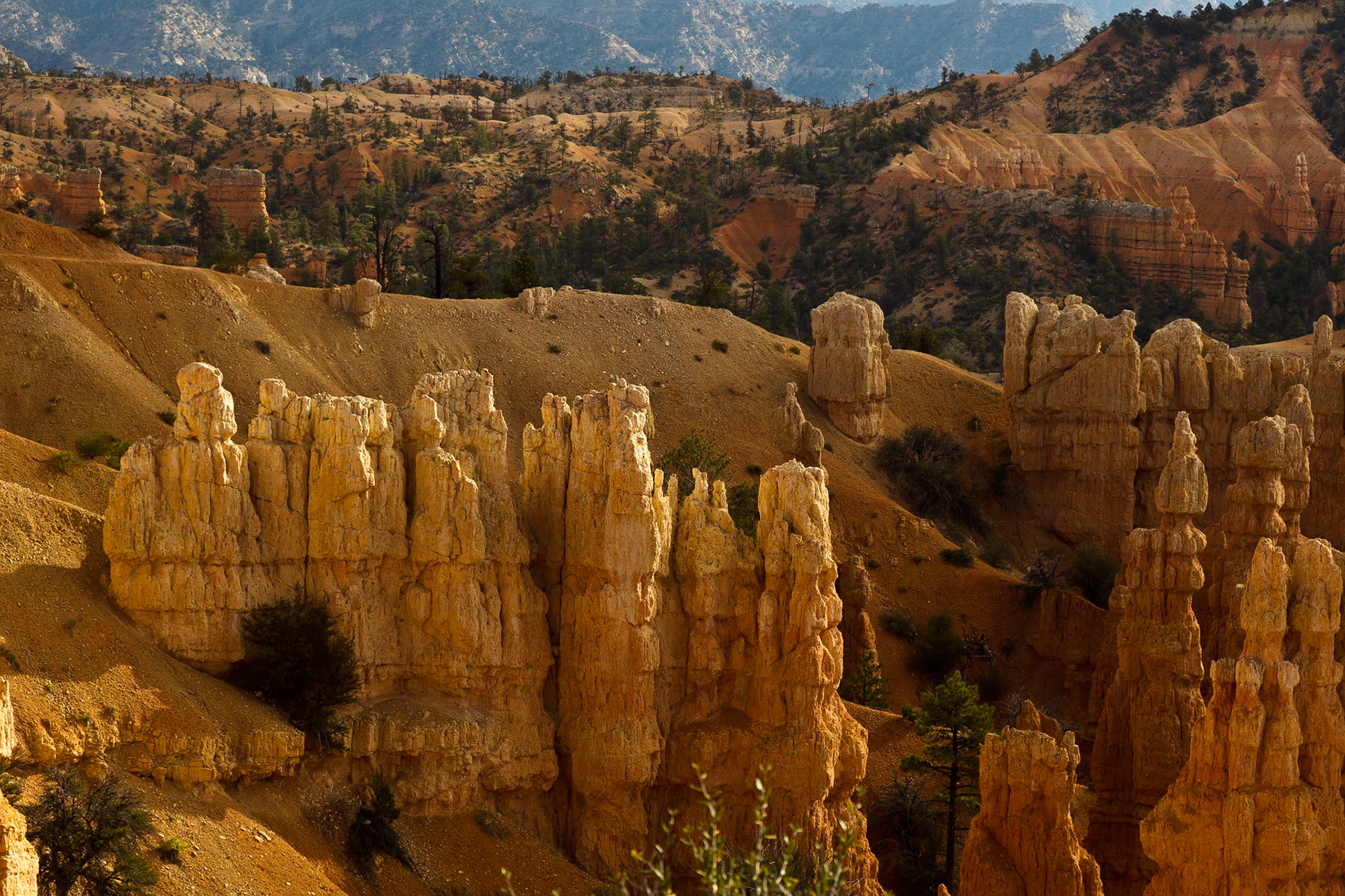 Bryce NP Utah