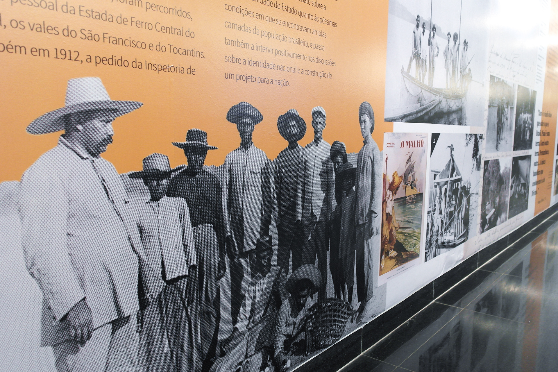 Disarme Grafico_exposição Oswaldo Cruz, ciência e saúde no projeto nacional, detalhe.