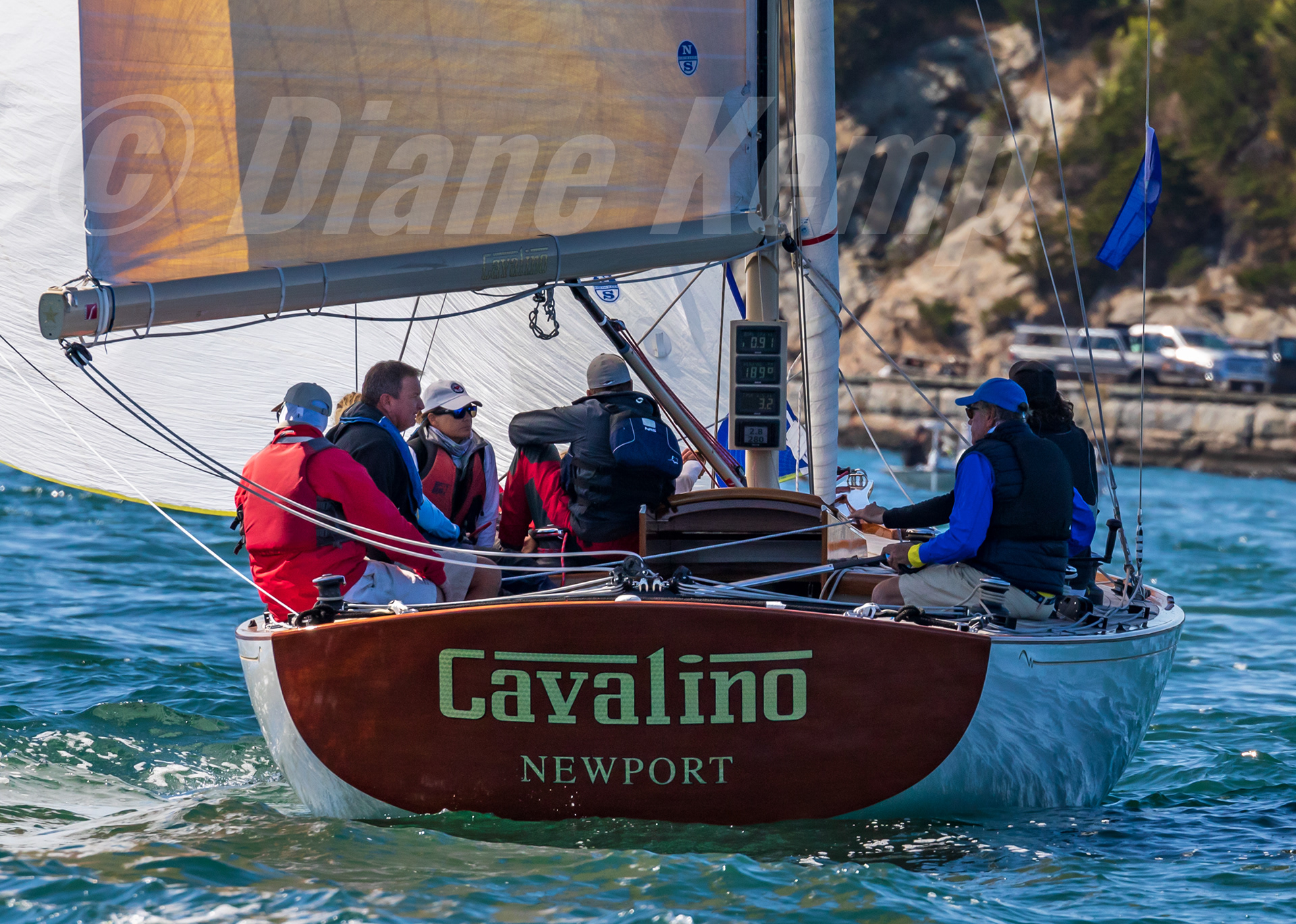 Cavalino