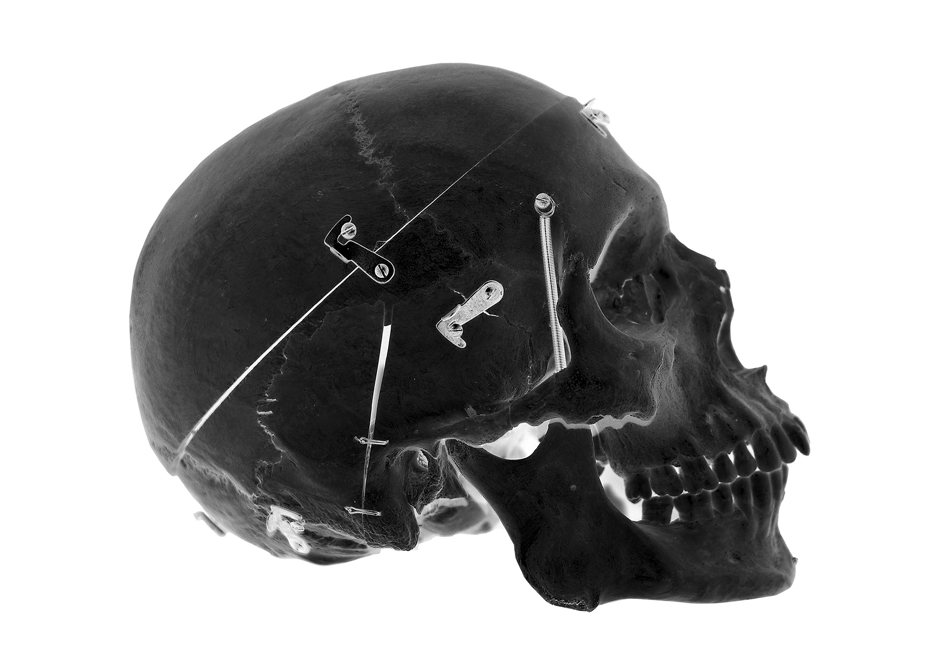 Black & White Skull | Digitale Fotoretusche