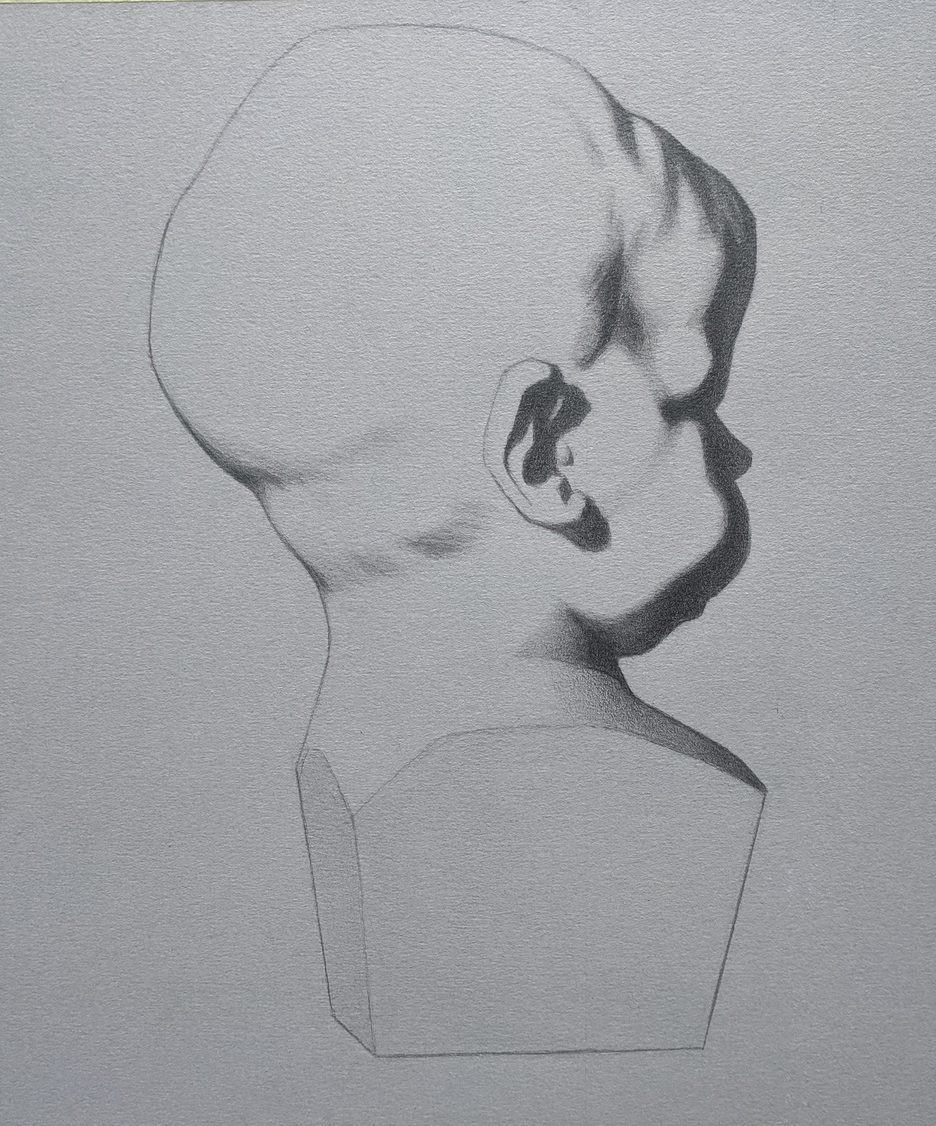 Graphite Bargue Drawing - 9x11" - $40