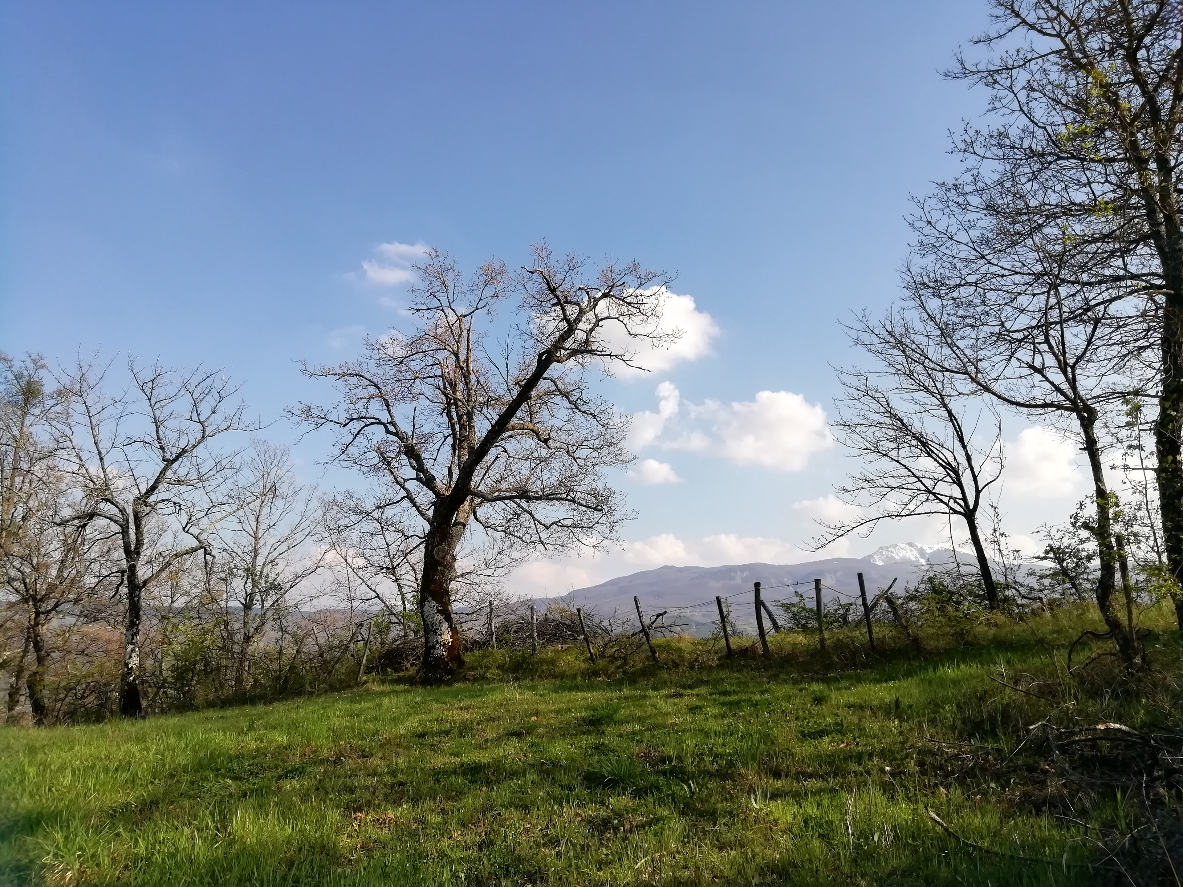 Il paesaggio vicino Cereggio