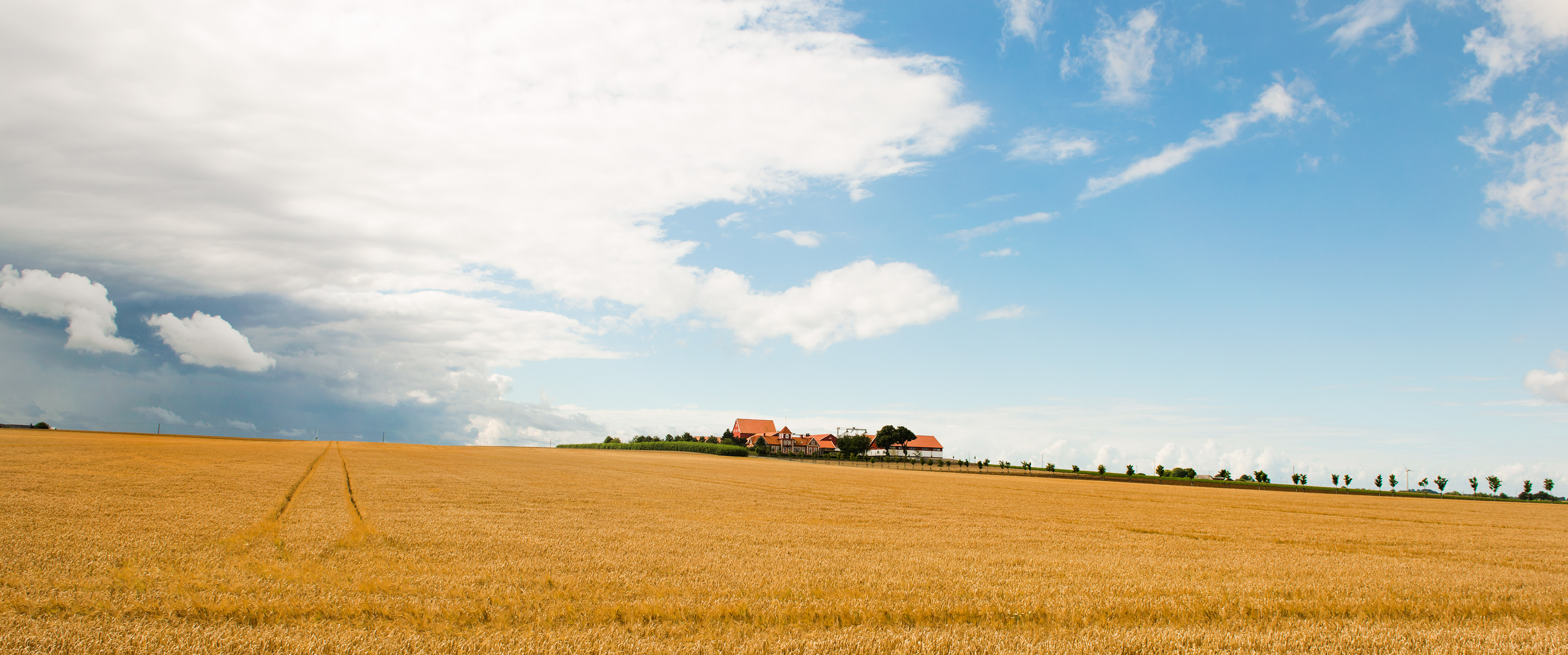 Swedish farm