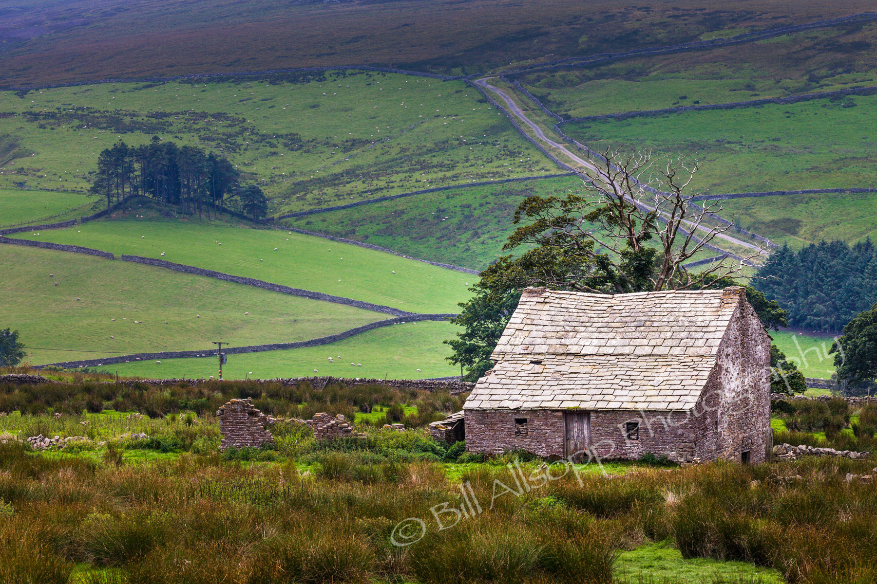 Derelict farmhouse and barn in moorland.
