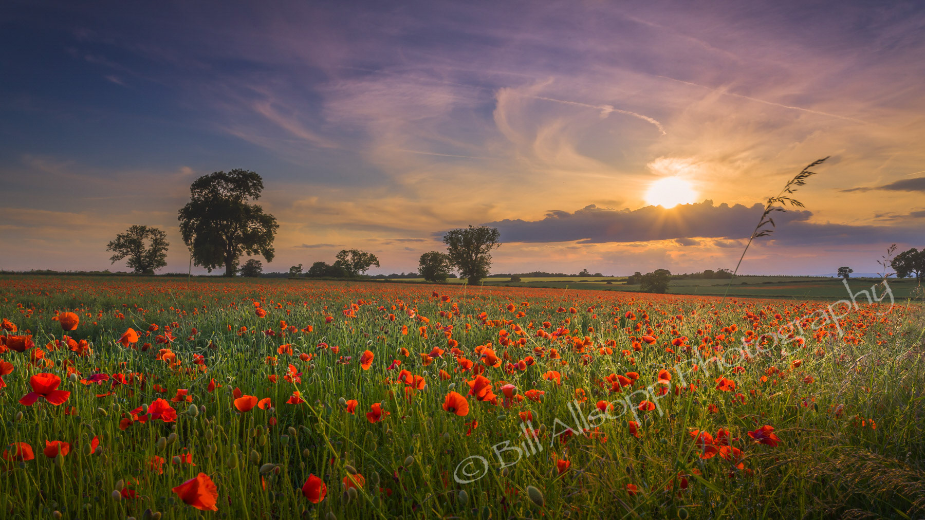 At Ticknall, Derbyshire.