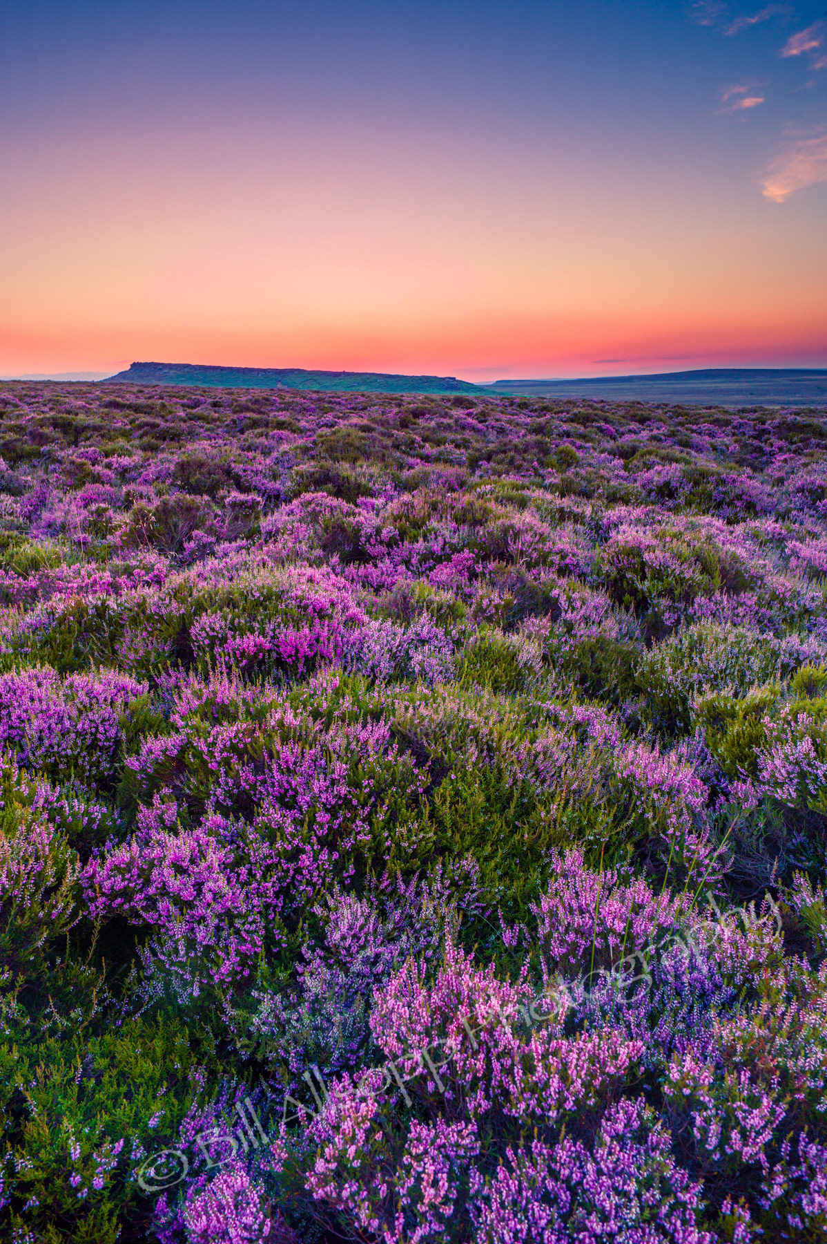 Sunset over Derbyshire heather moorland.