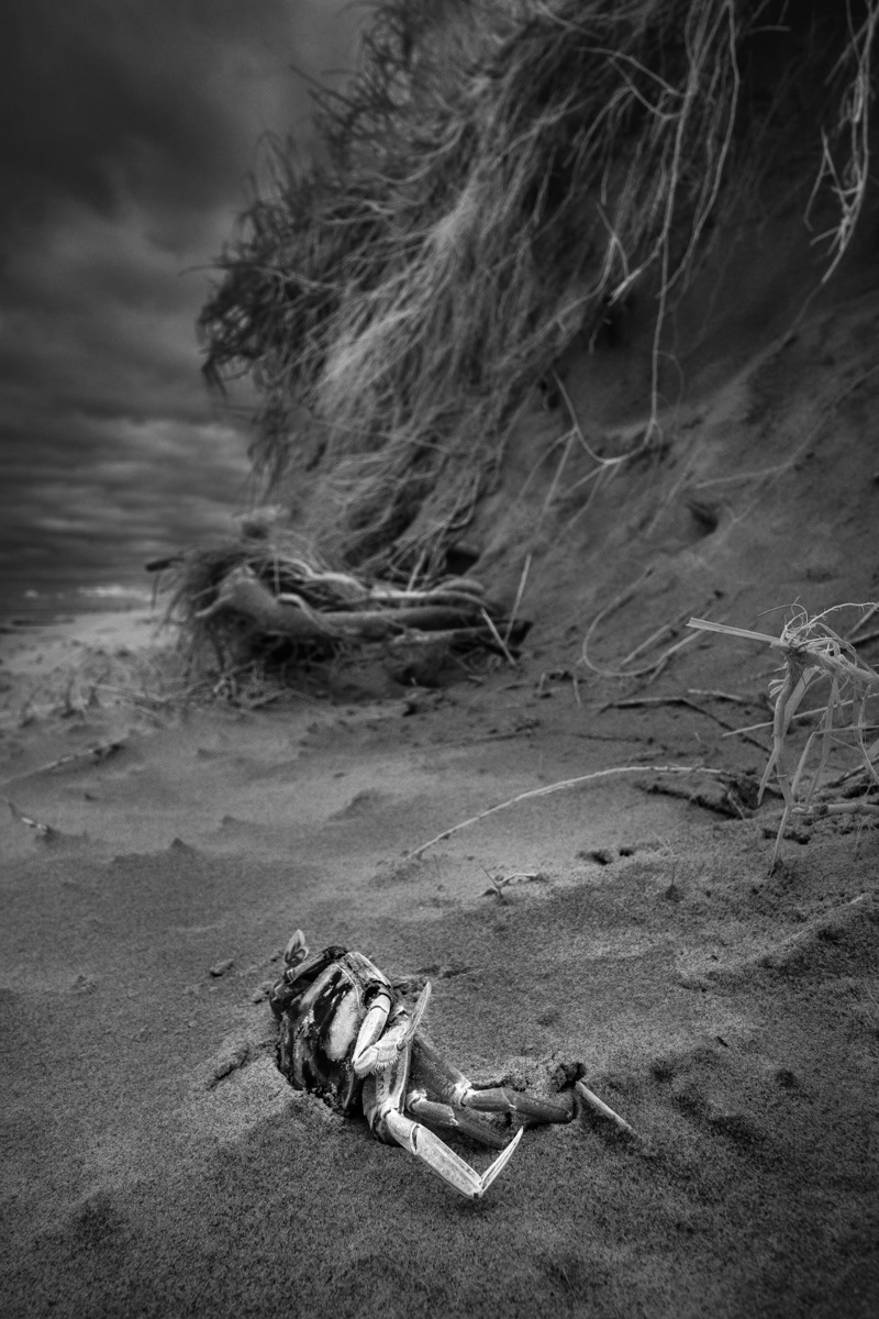 Death on the beach.
