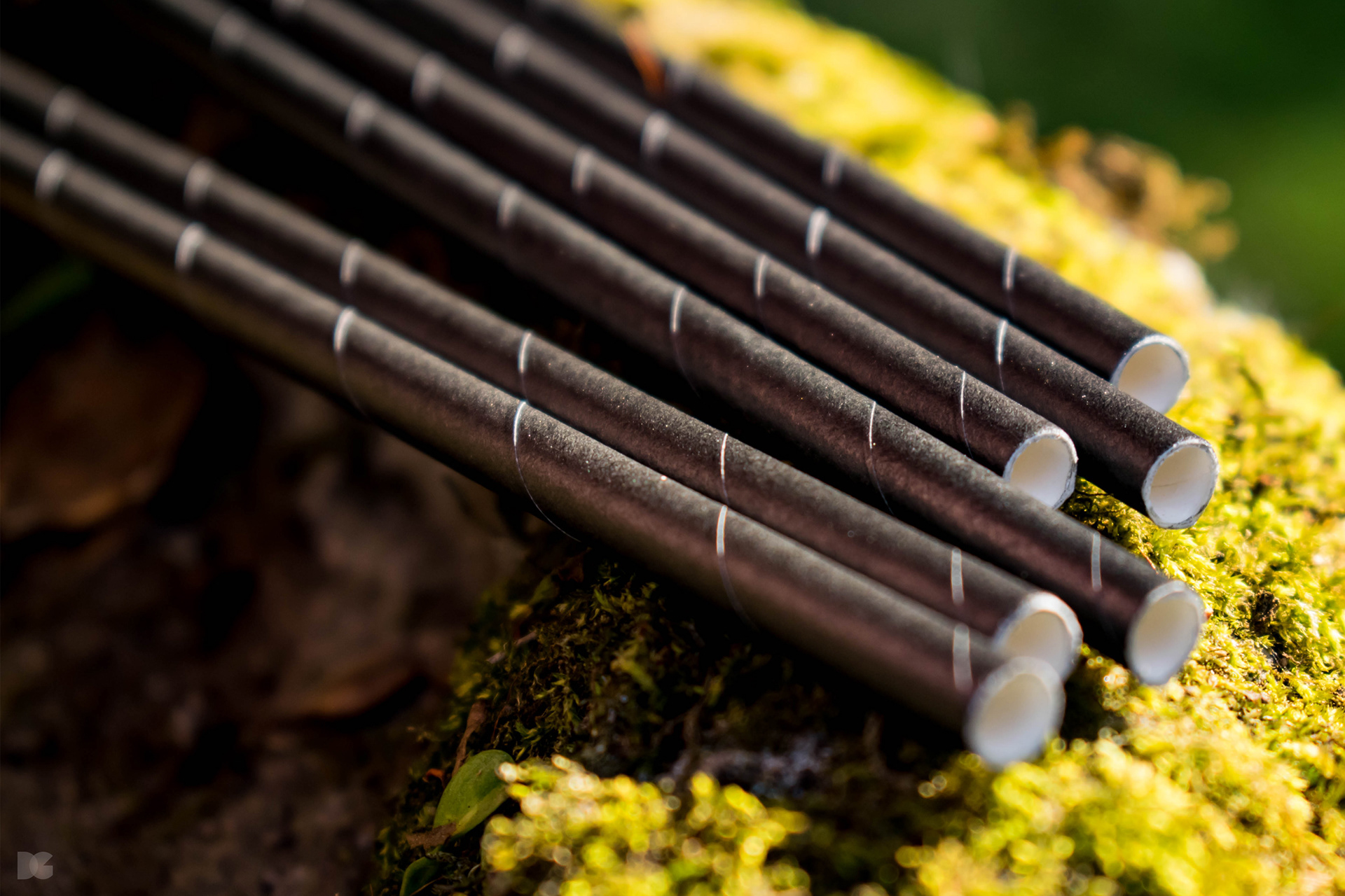 Compostable and recyclable paper straws, shot for HG Stephenson Ltd. © 2018 David Gilmore Design