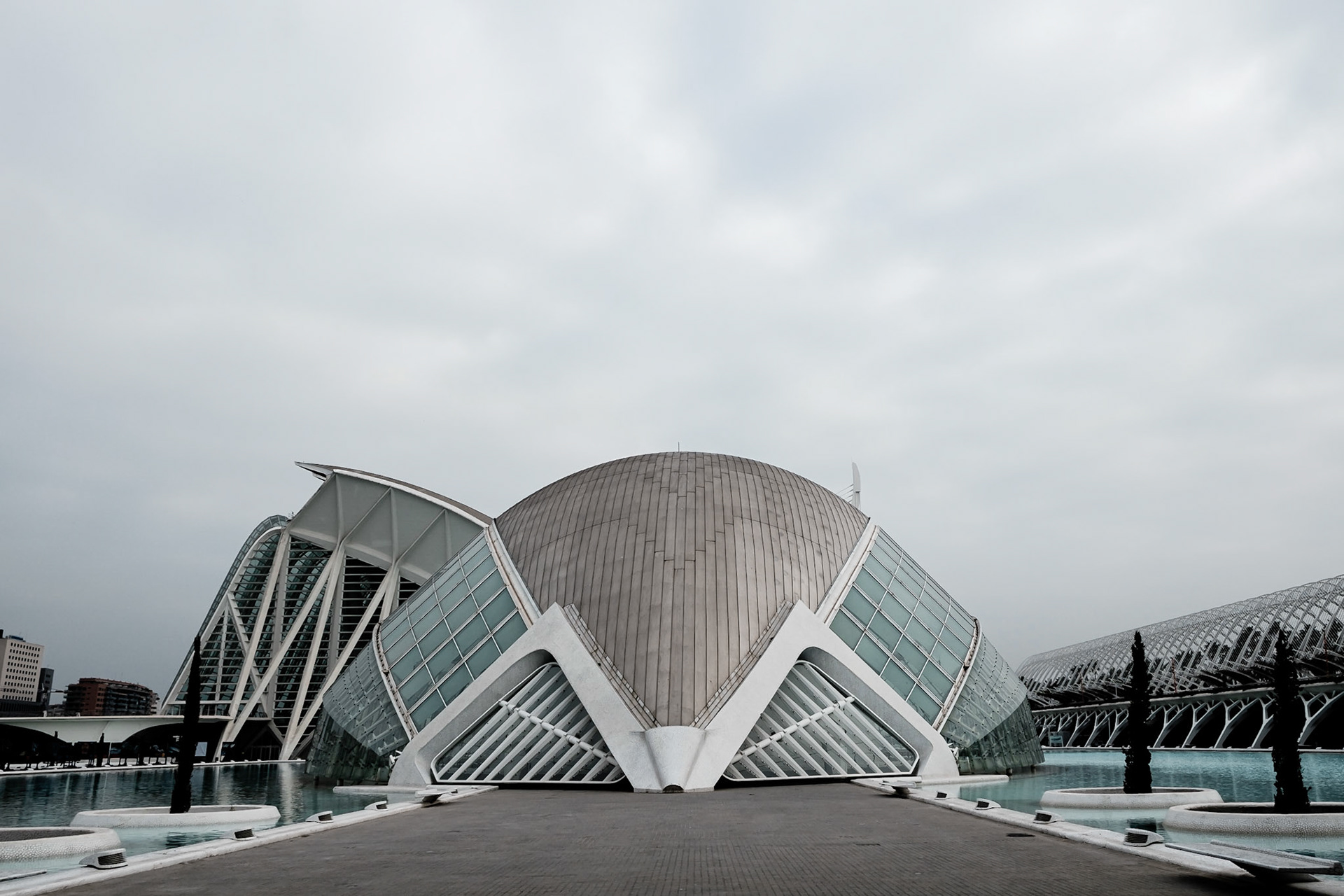 Valencia Calatrava City Of Art & Sciences
