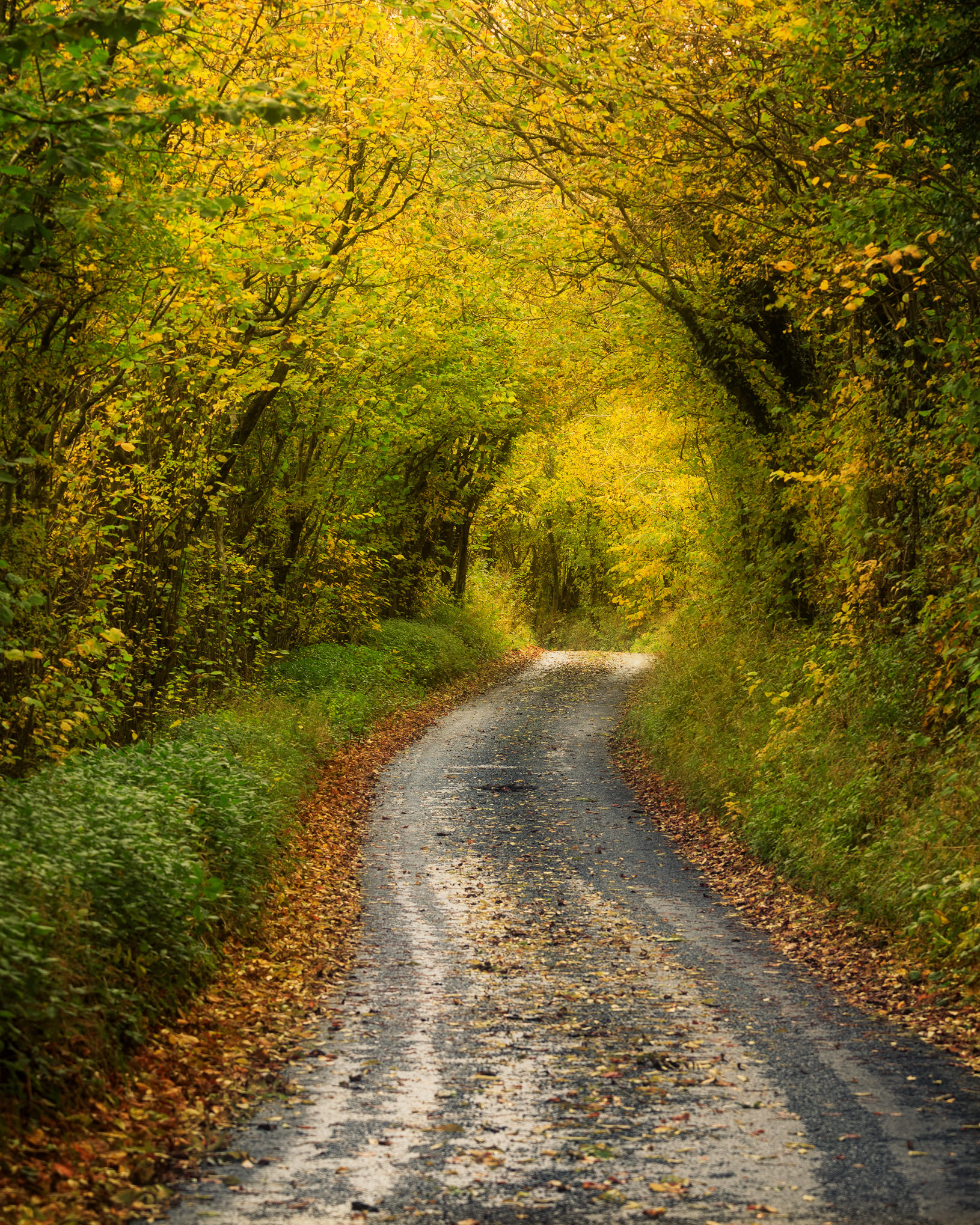 Beck Lane