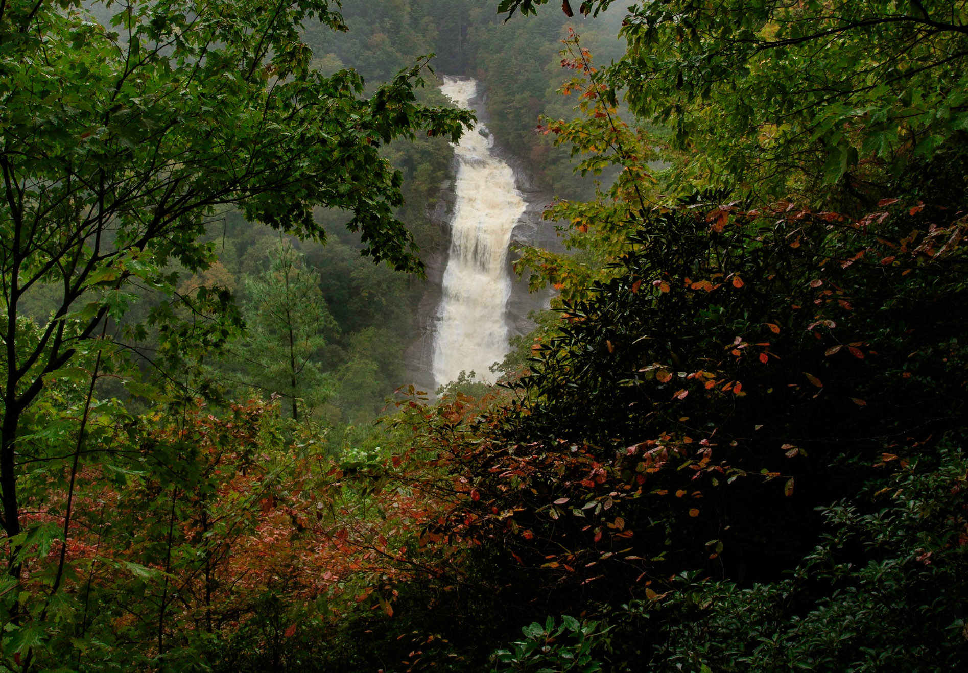 Lower Whitewater Falls