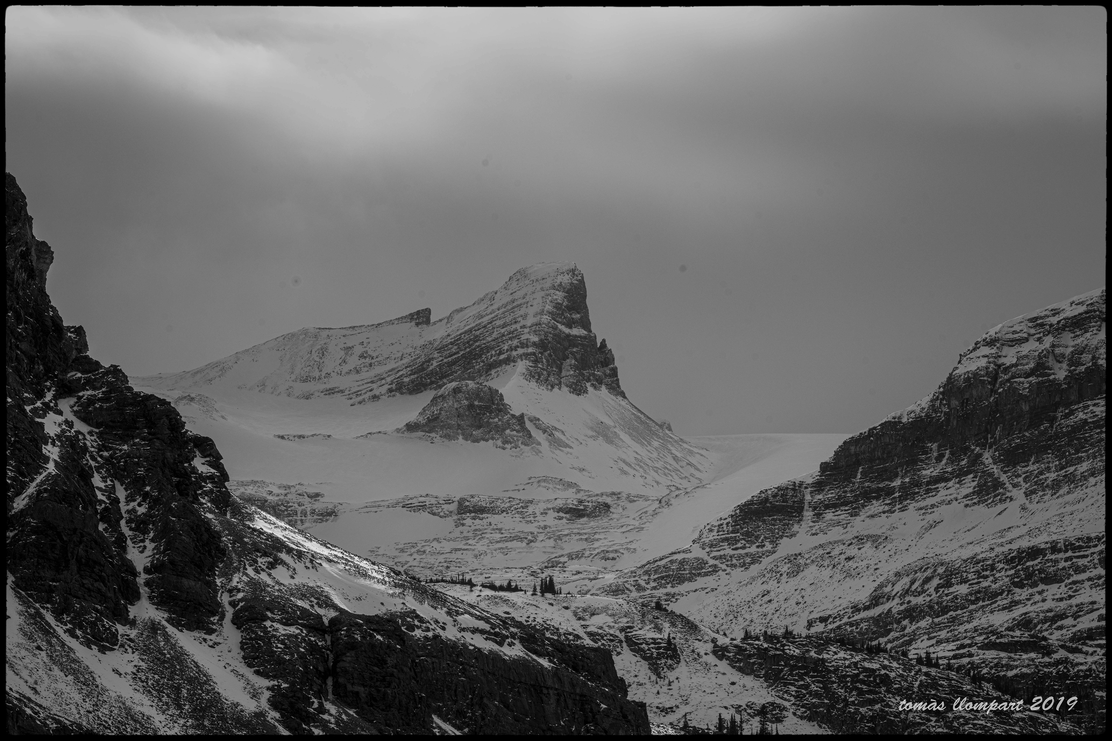 Bow Lake (Jasper, Canada)