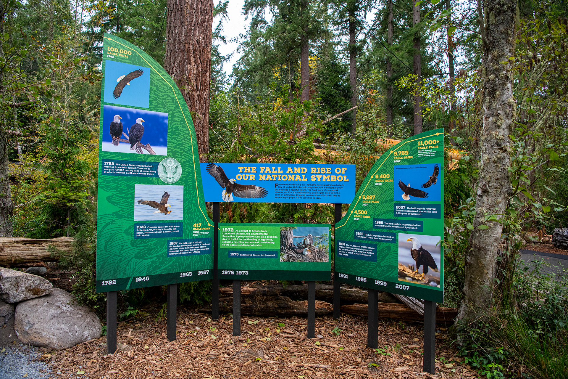 Photo by Katie Cotterill