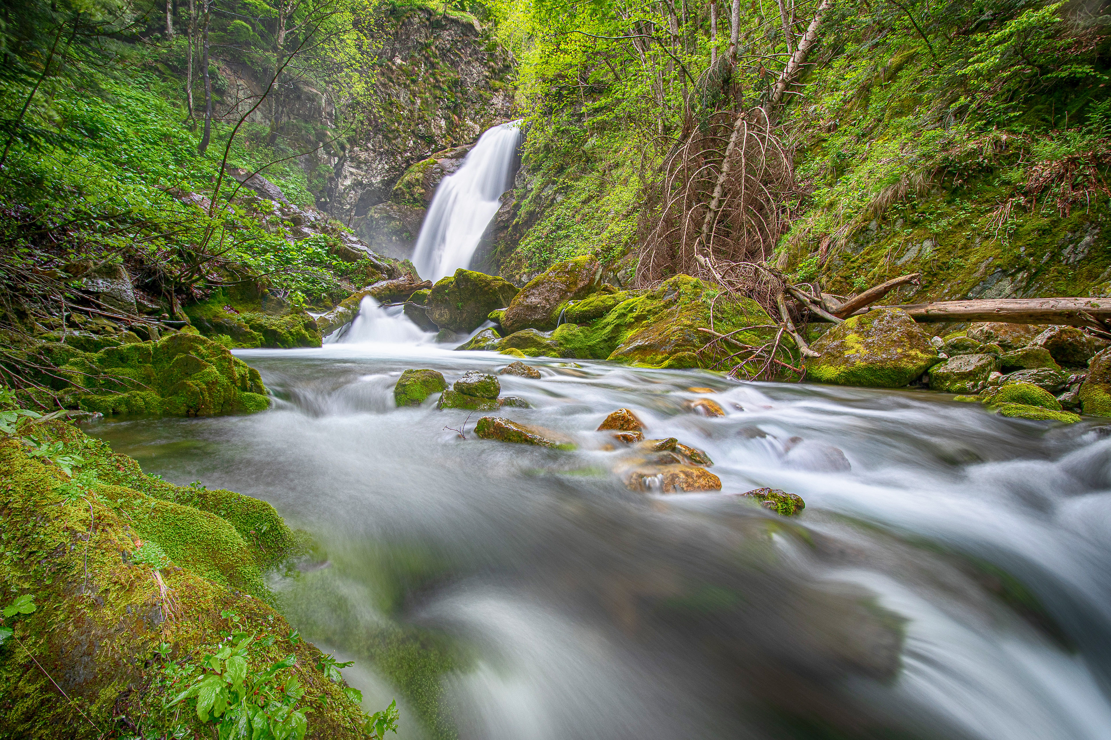 Cascate del Pesio