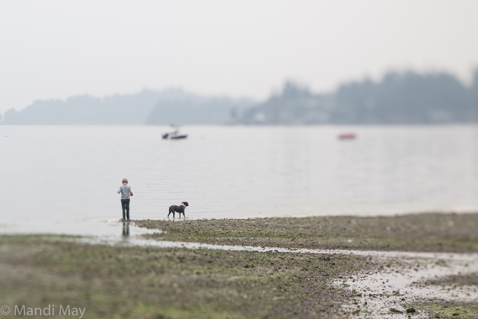 Smoky Skies - Bainbridge Island