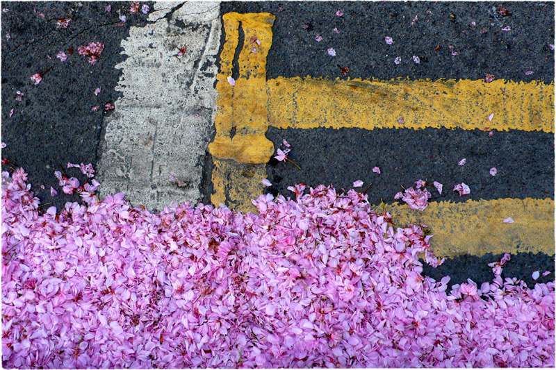 blossom road, whitechapel