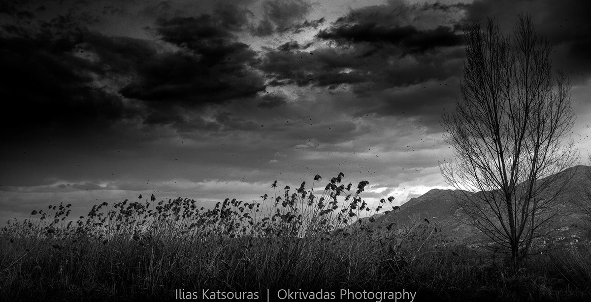 nisaki ioannina gloomy dusk νησάκι ιωάννινα σούρουπο