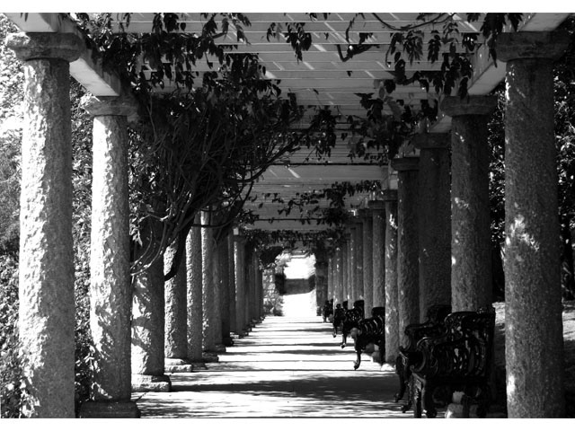 Colonnade