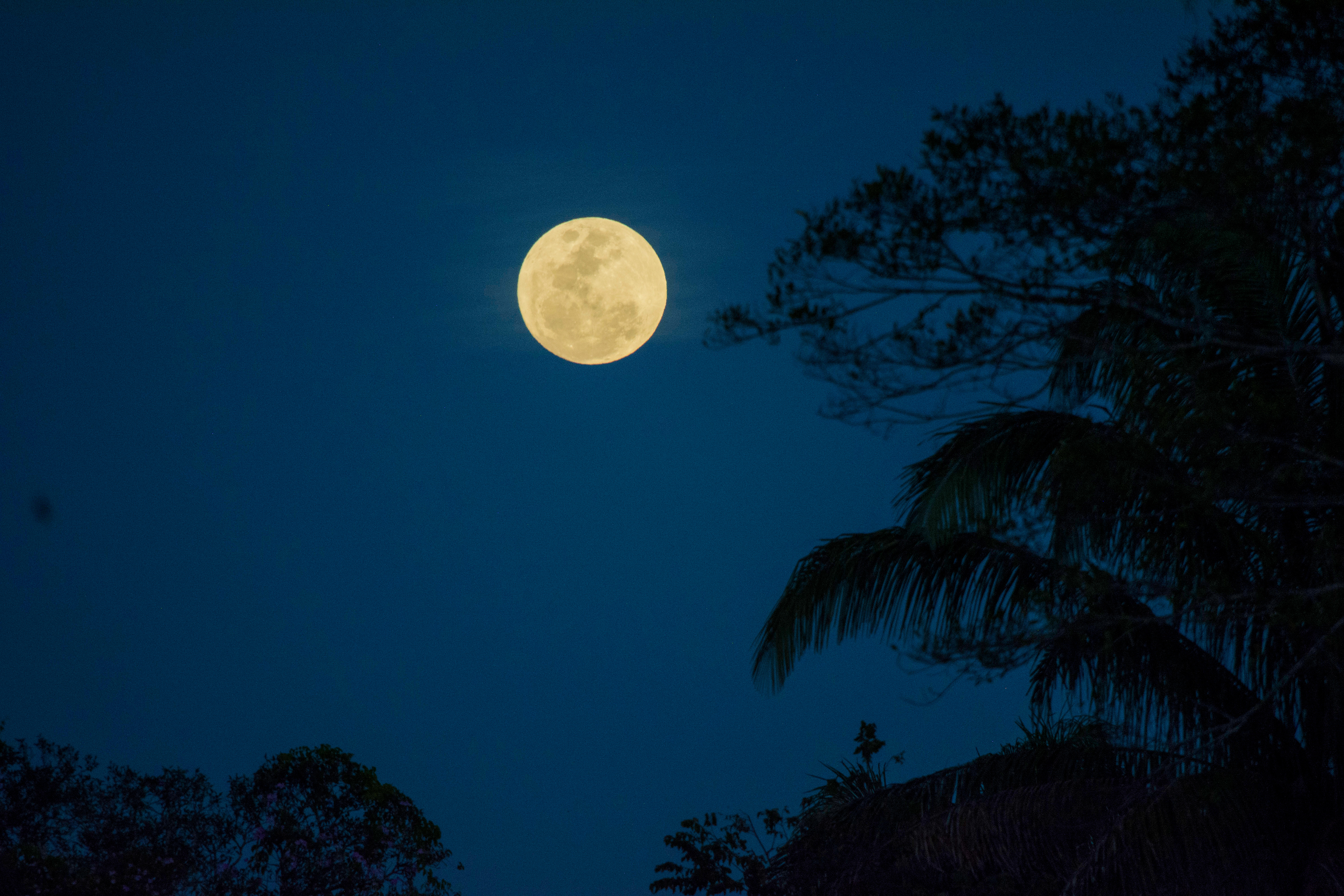 Luna llena