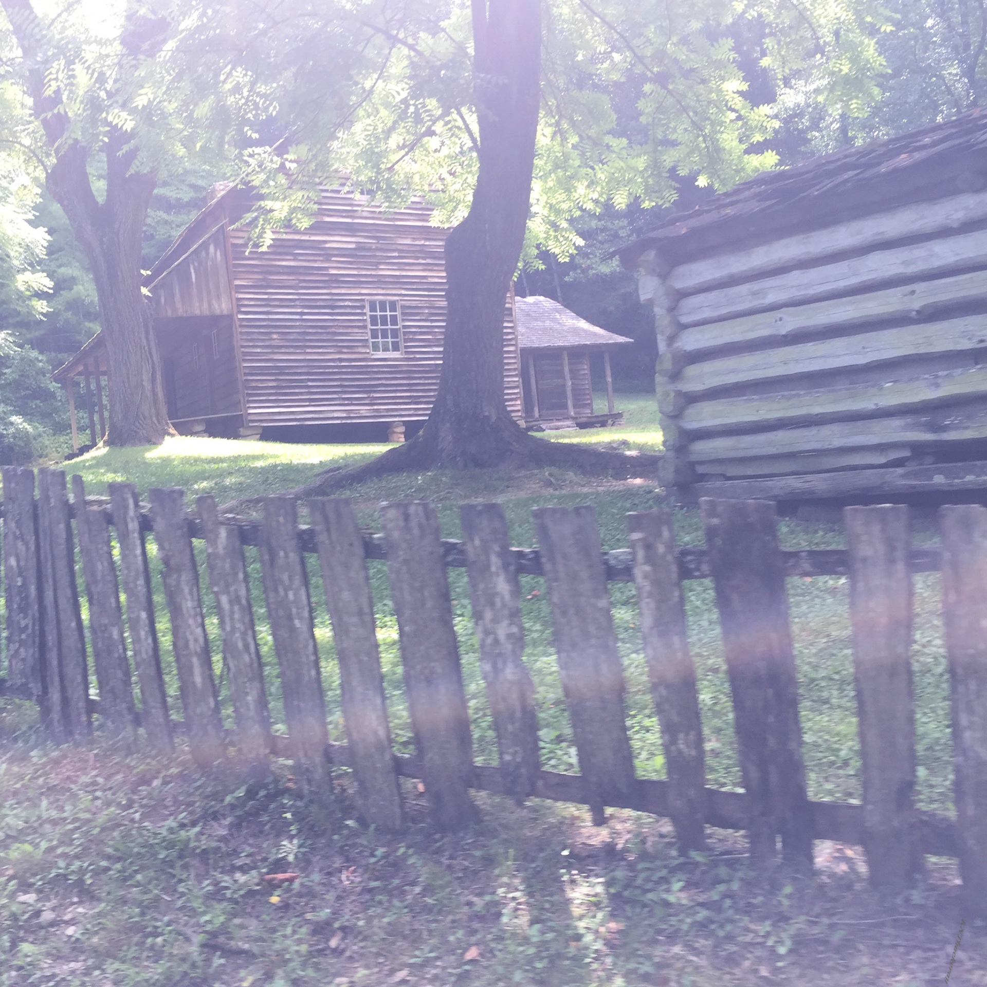 The Homestead