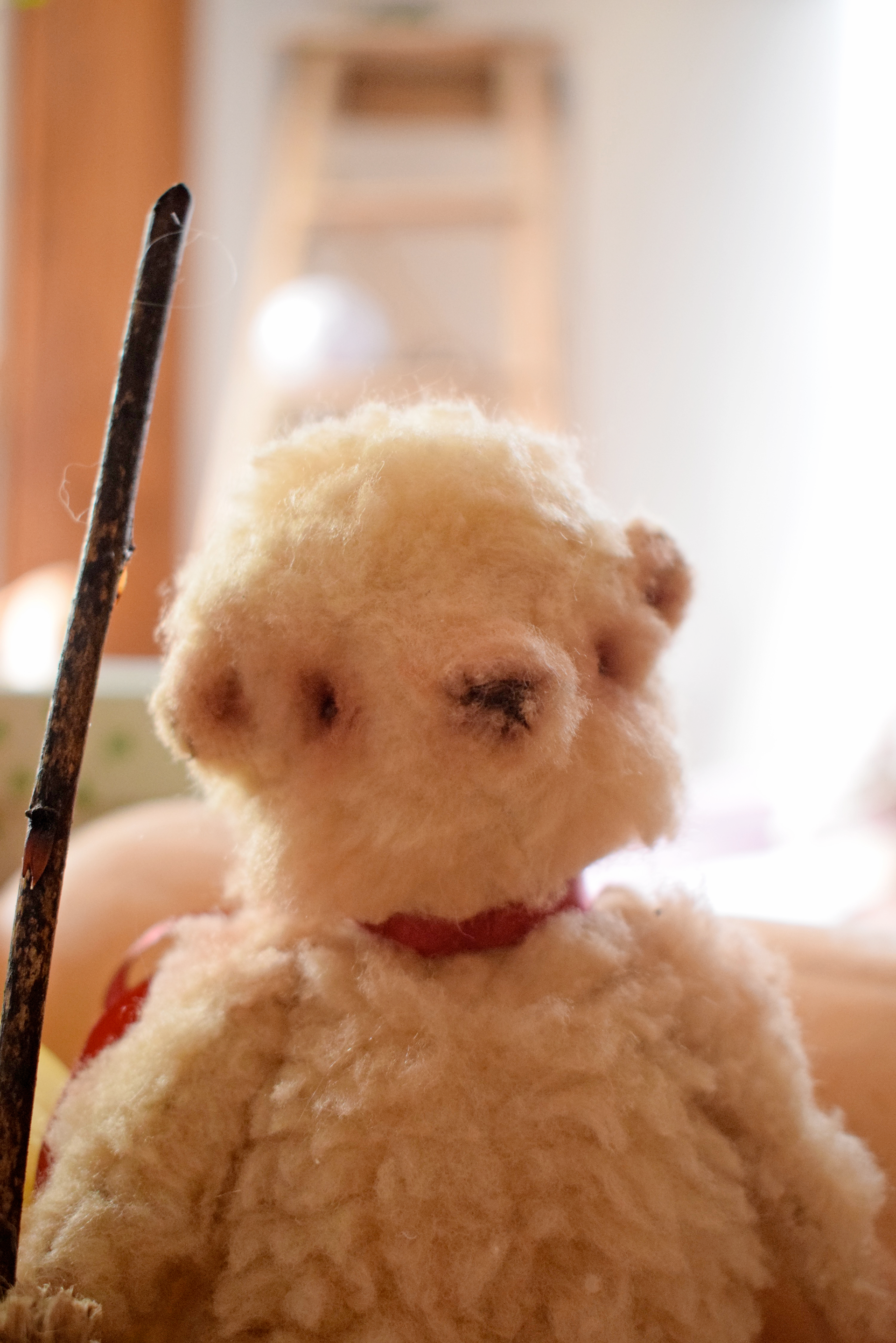 Léonard, ours [VENDU]