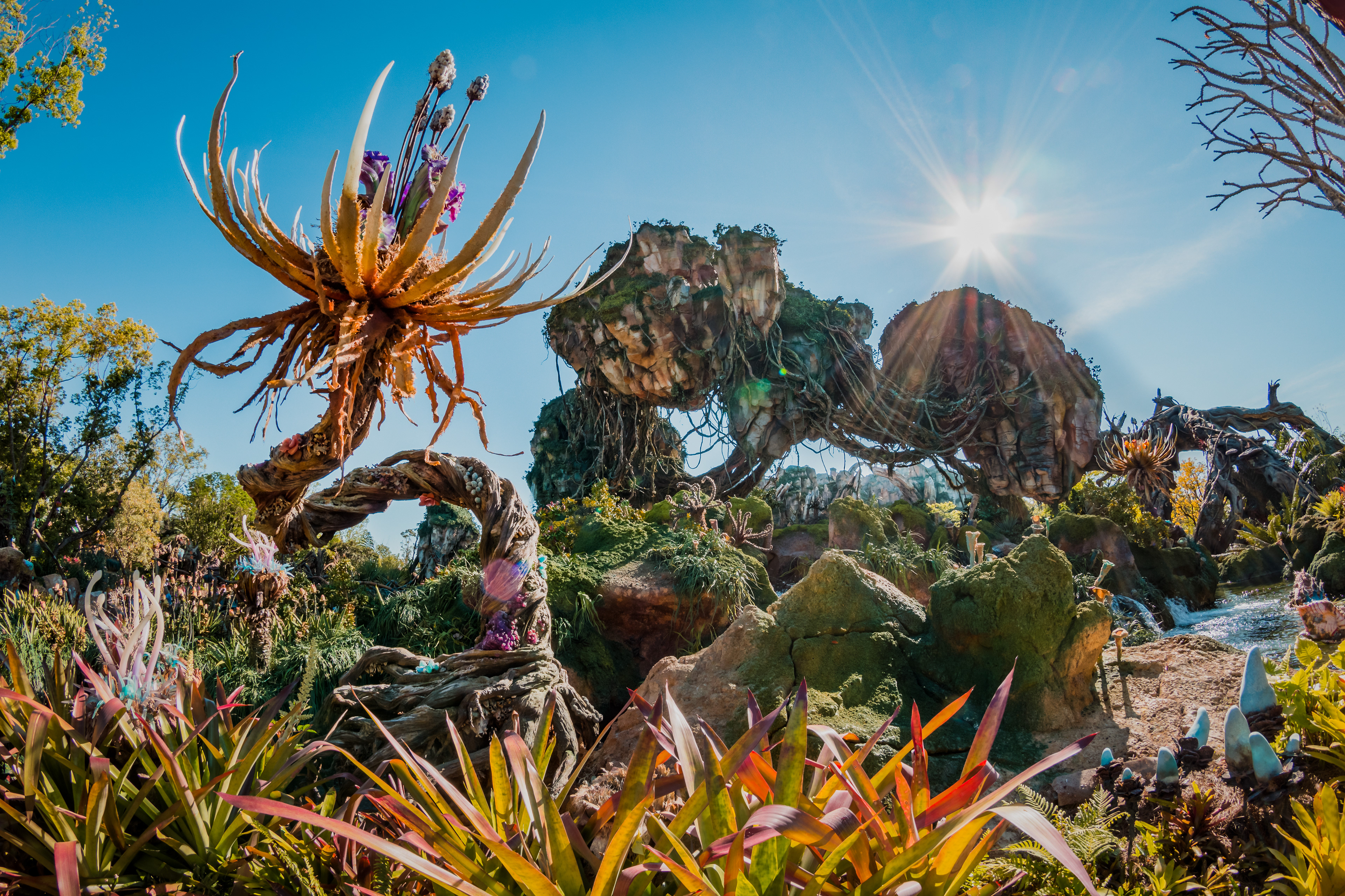 lisa.disney - Animal Kingdom