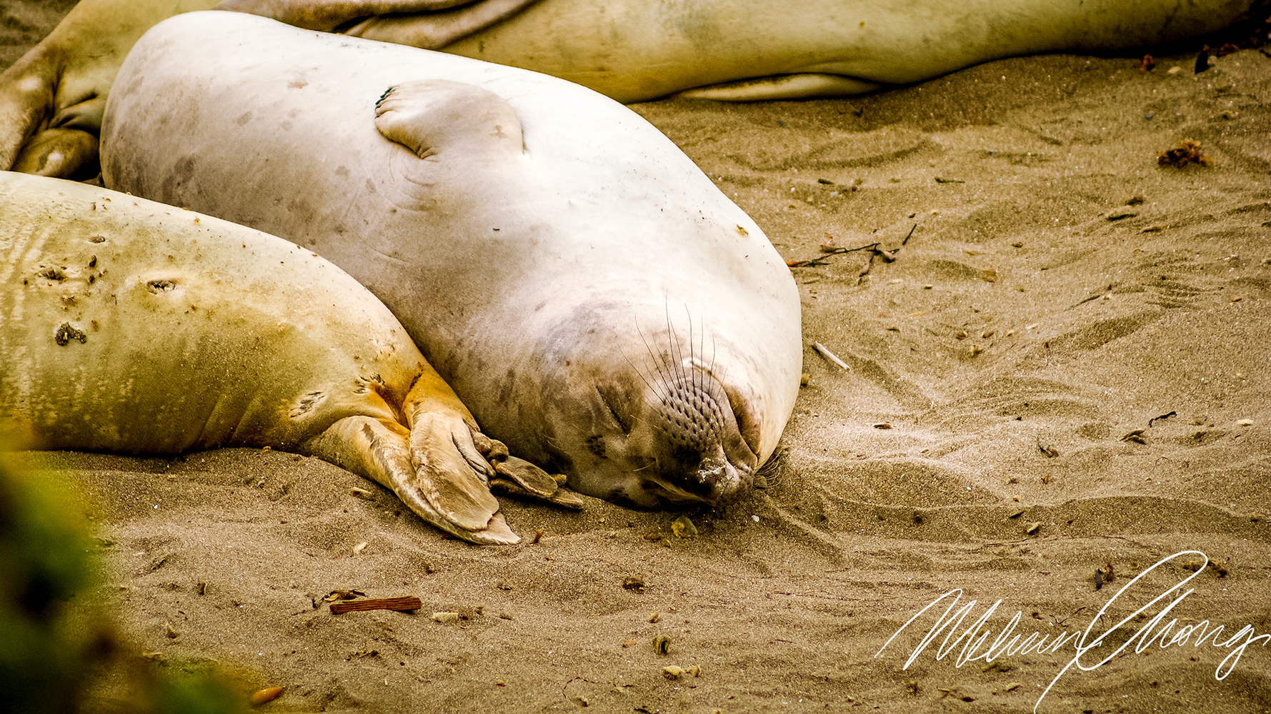 © 2019 | Waddell Resident | 03719