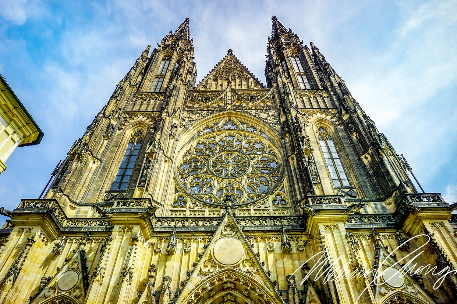© 2019 | St. Vitus | 00931