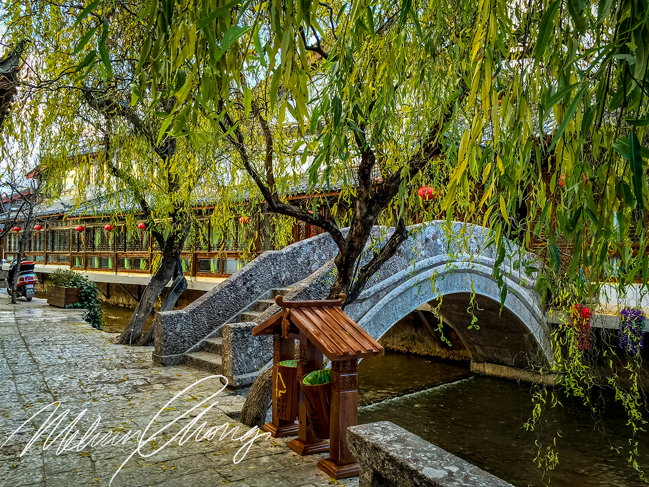 © 2015 | Ta-Yen Lijiang Old Town | 8802
