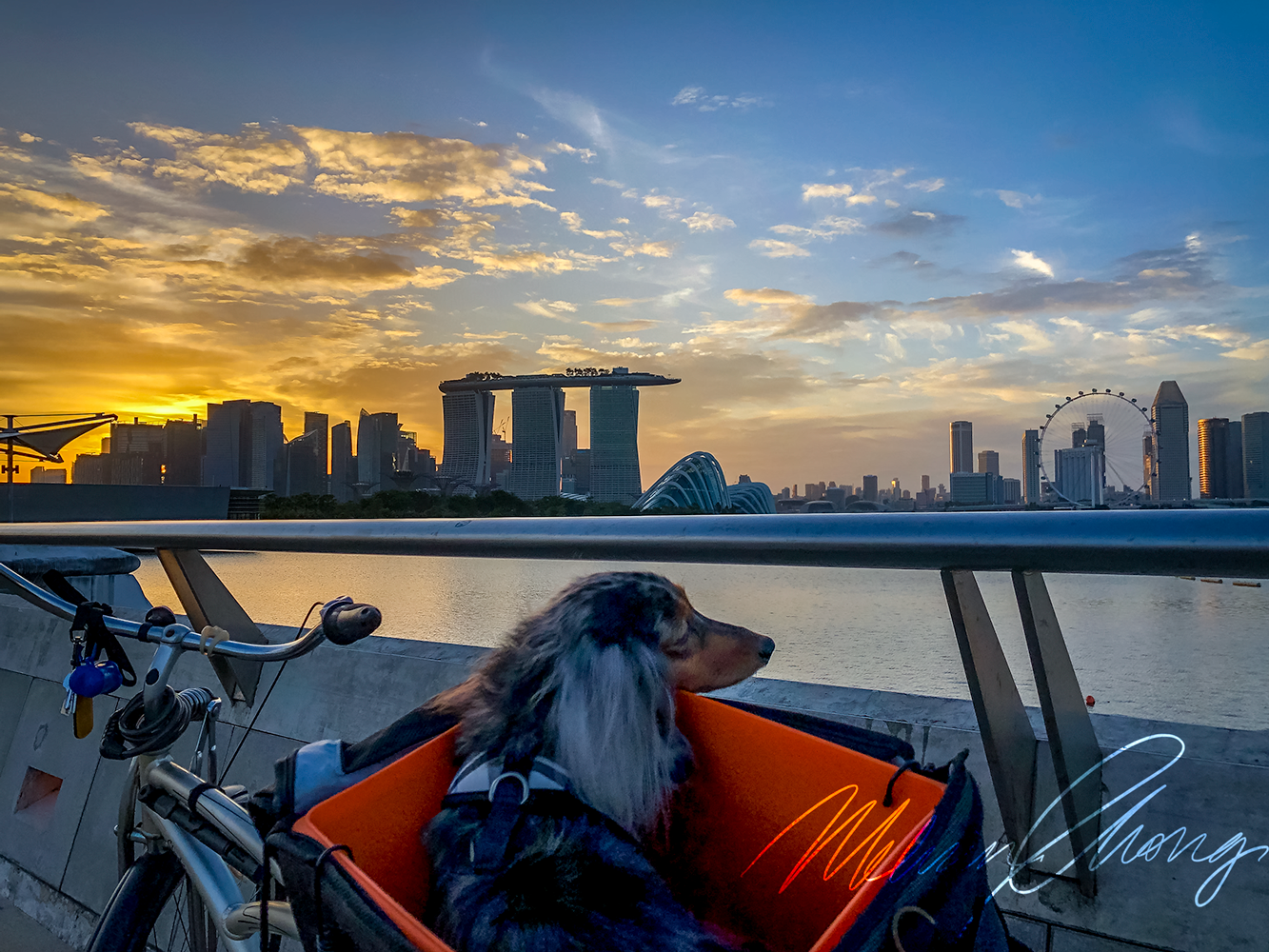 © February 2020 | Meimei enjoying sunset at the Marina Barrage