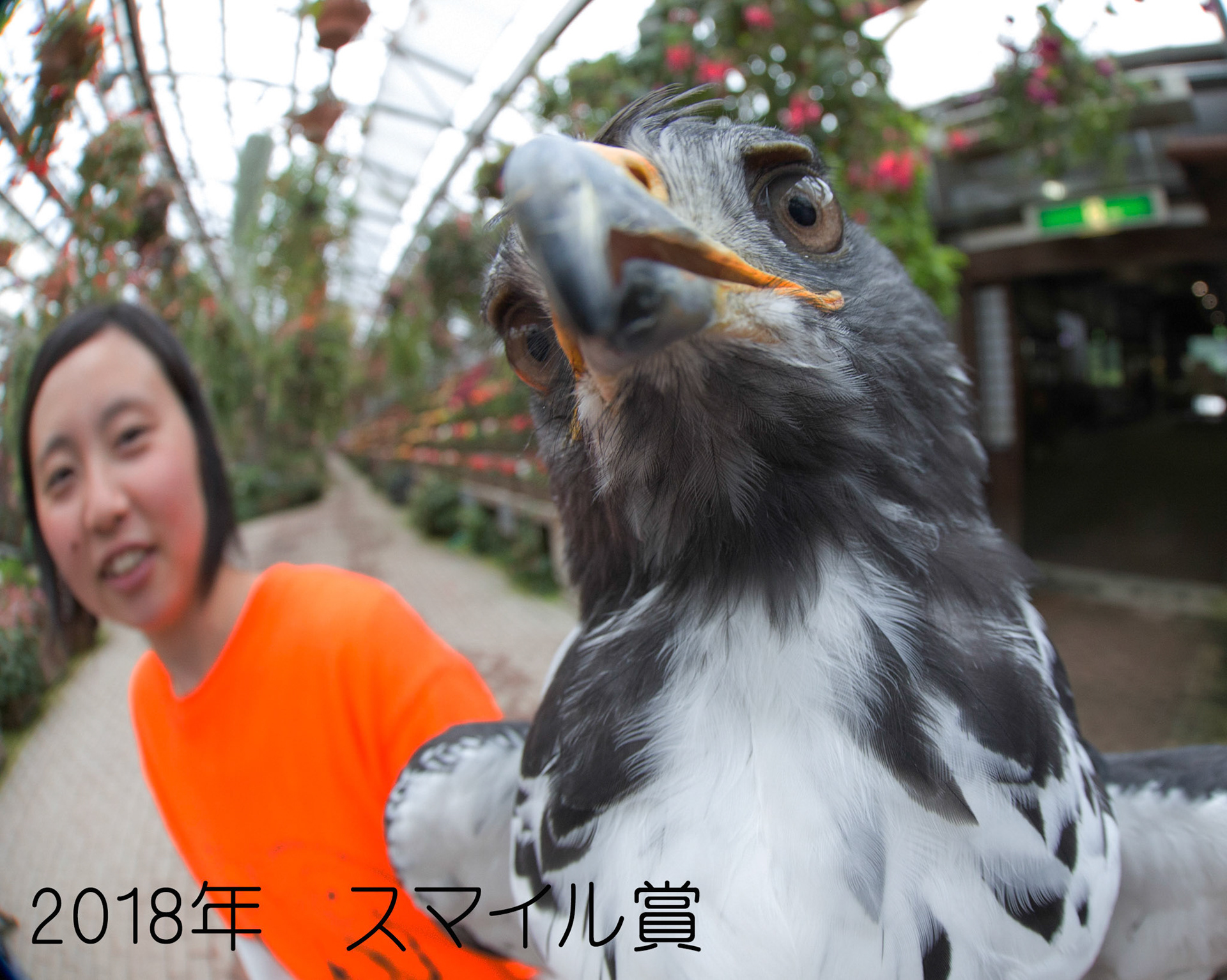 フォトグラファーくぬちゃん 富士花鳥園フォトコンテスト入賞作品