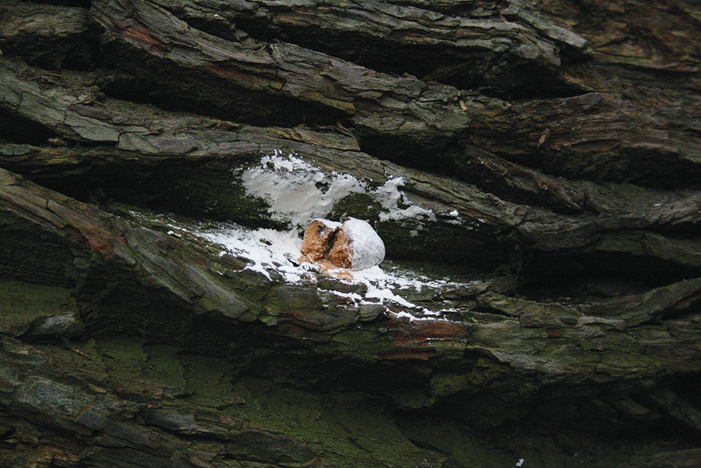 installation view at park