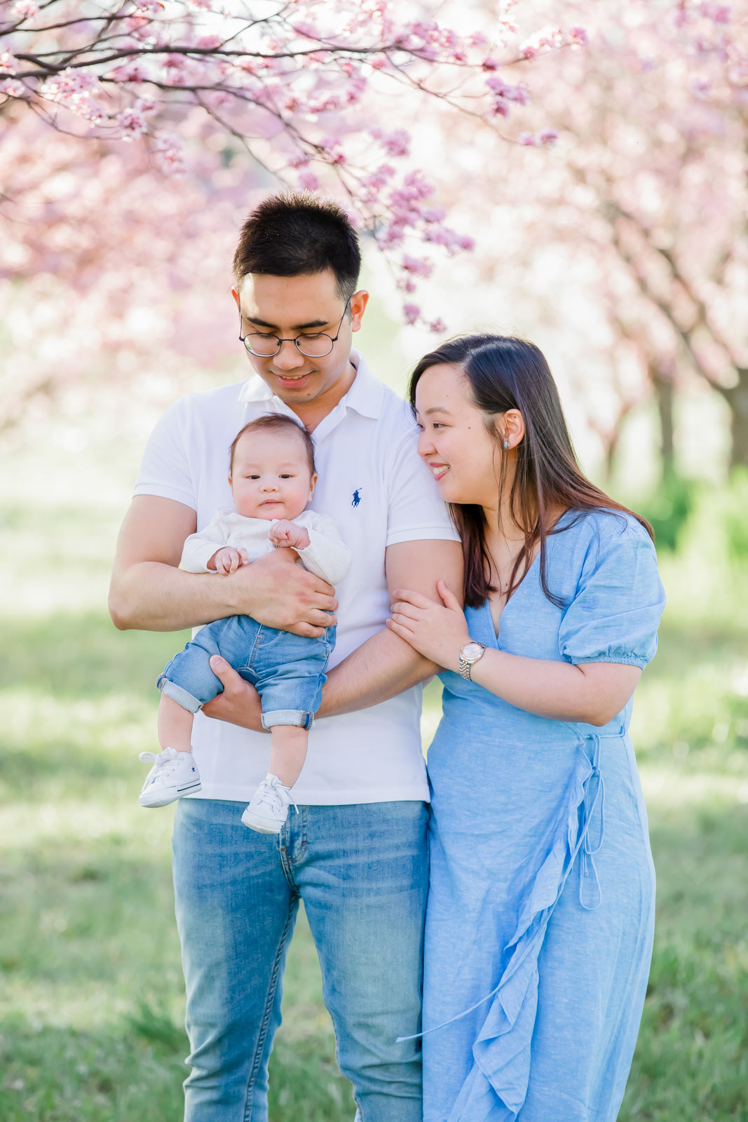 Family photo session in Canberra in the beautiful cherry blossoms.