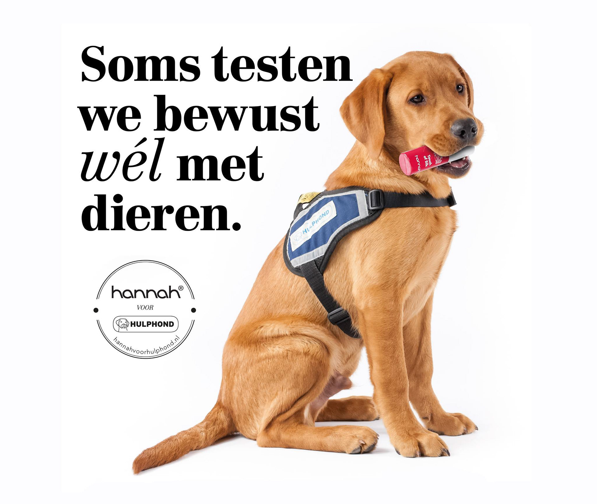 Fotografie voor campagne Hannah voor Hulphond