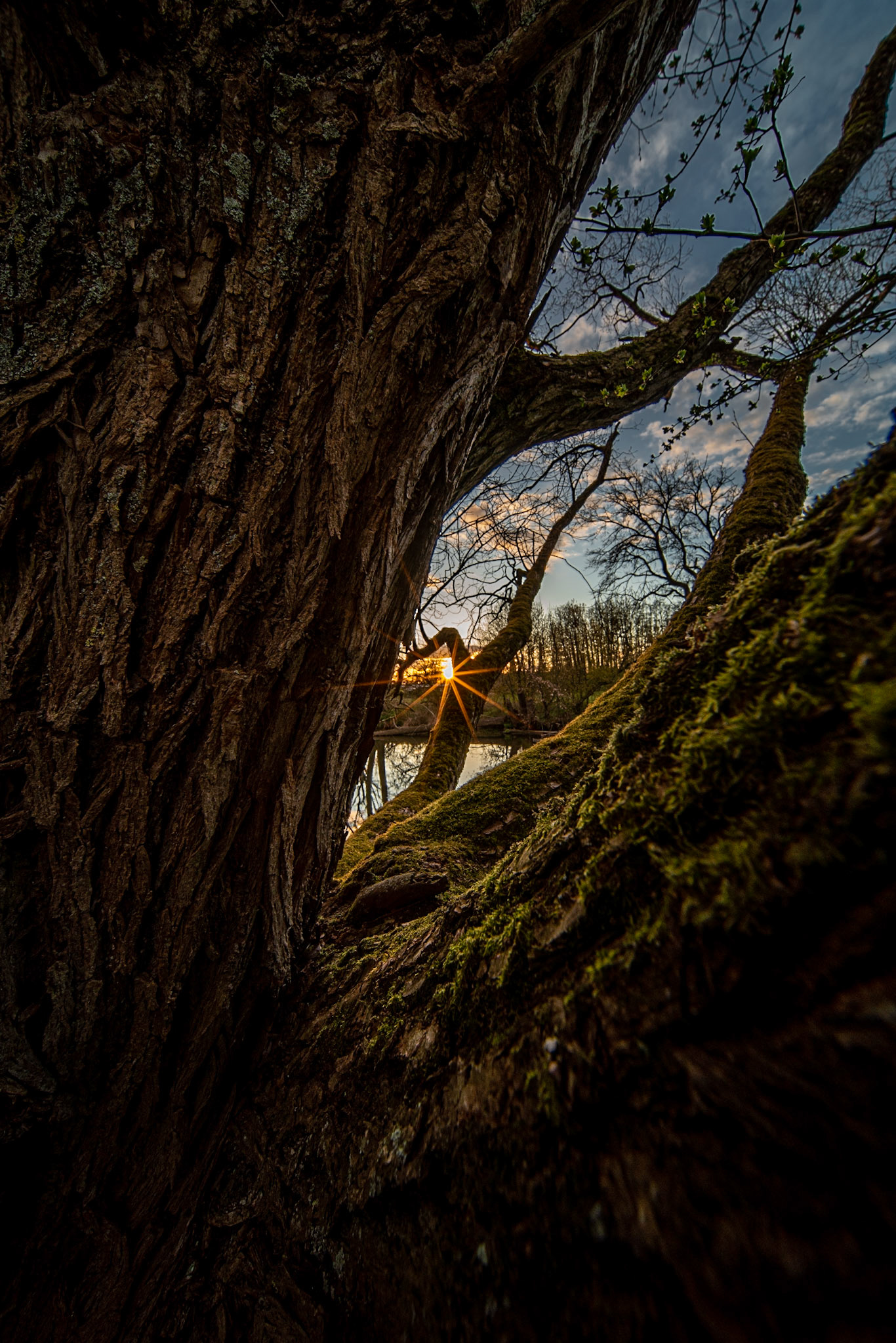 Day's last sunrays