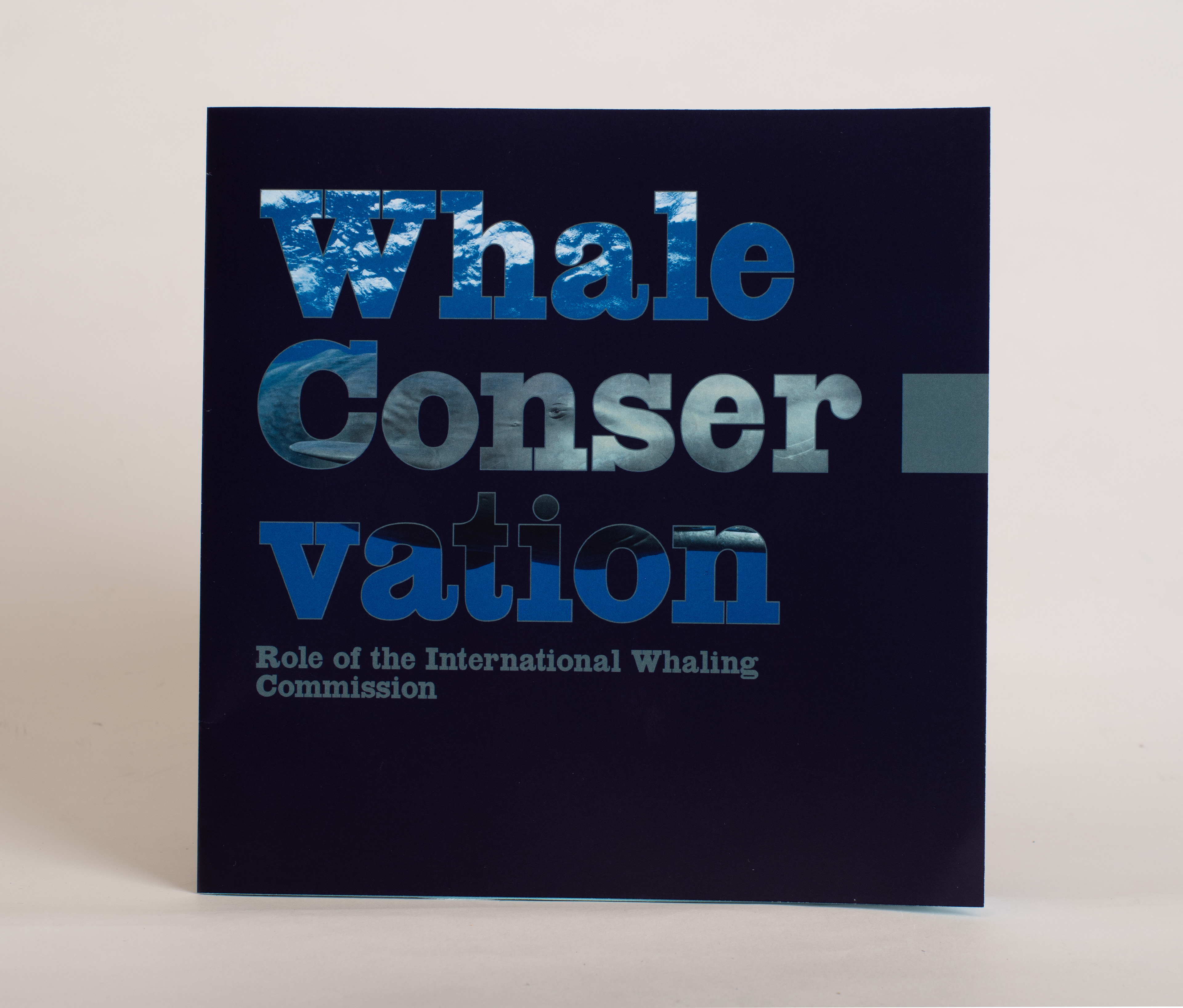 An environmental report on whale conservation