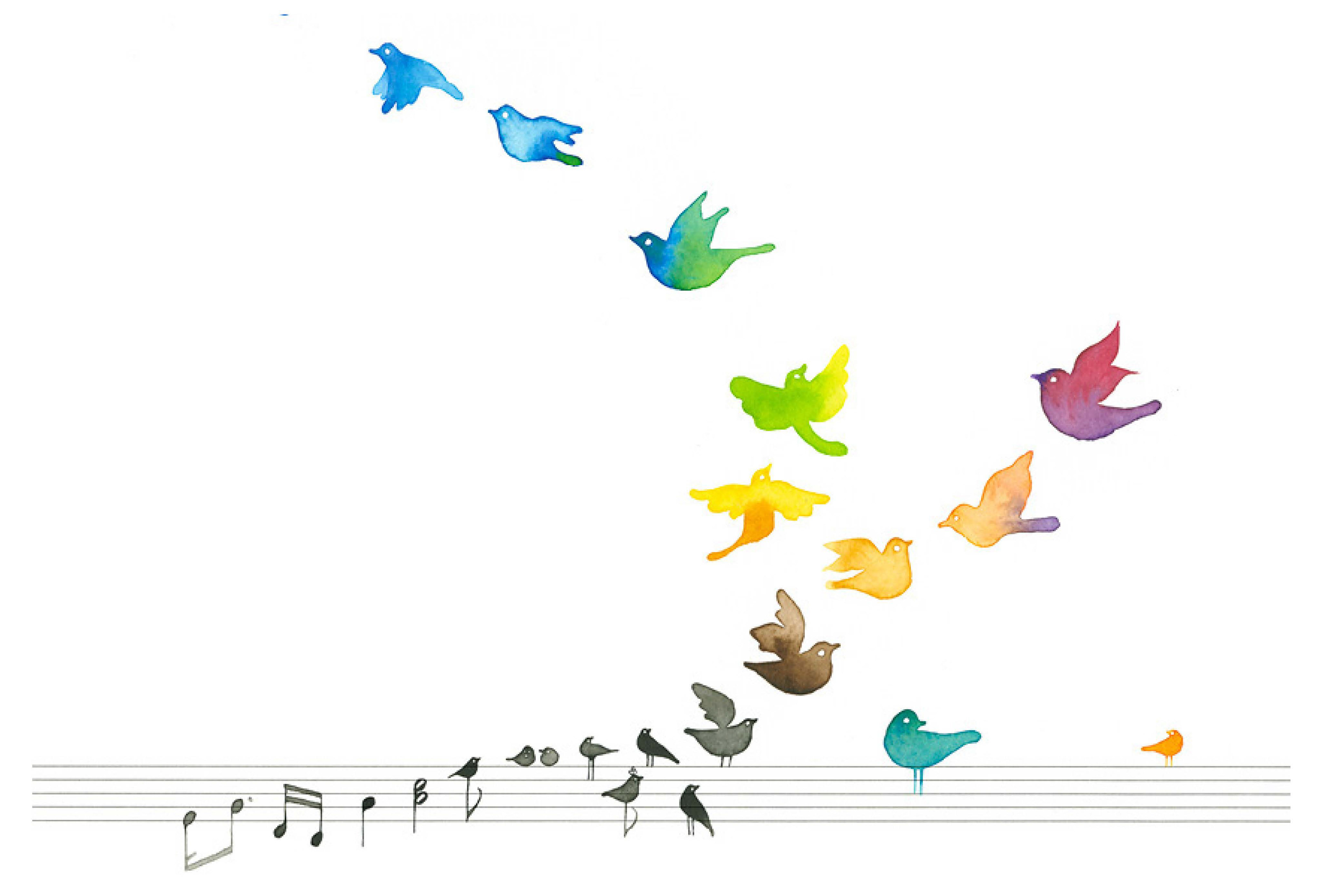 Beautiful colourful birds evolving from music notes