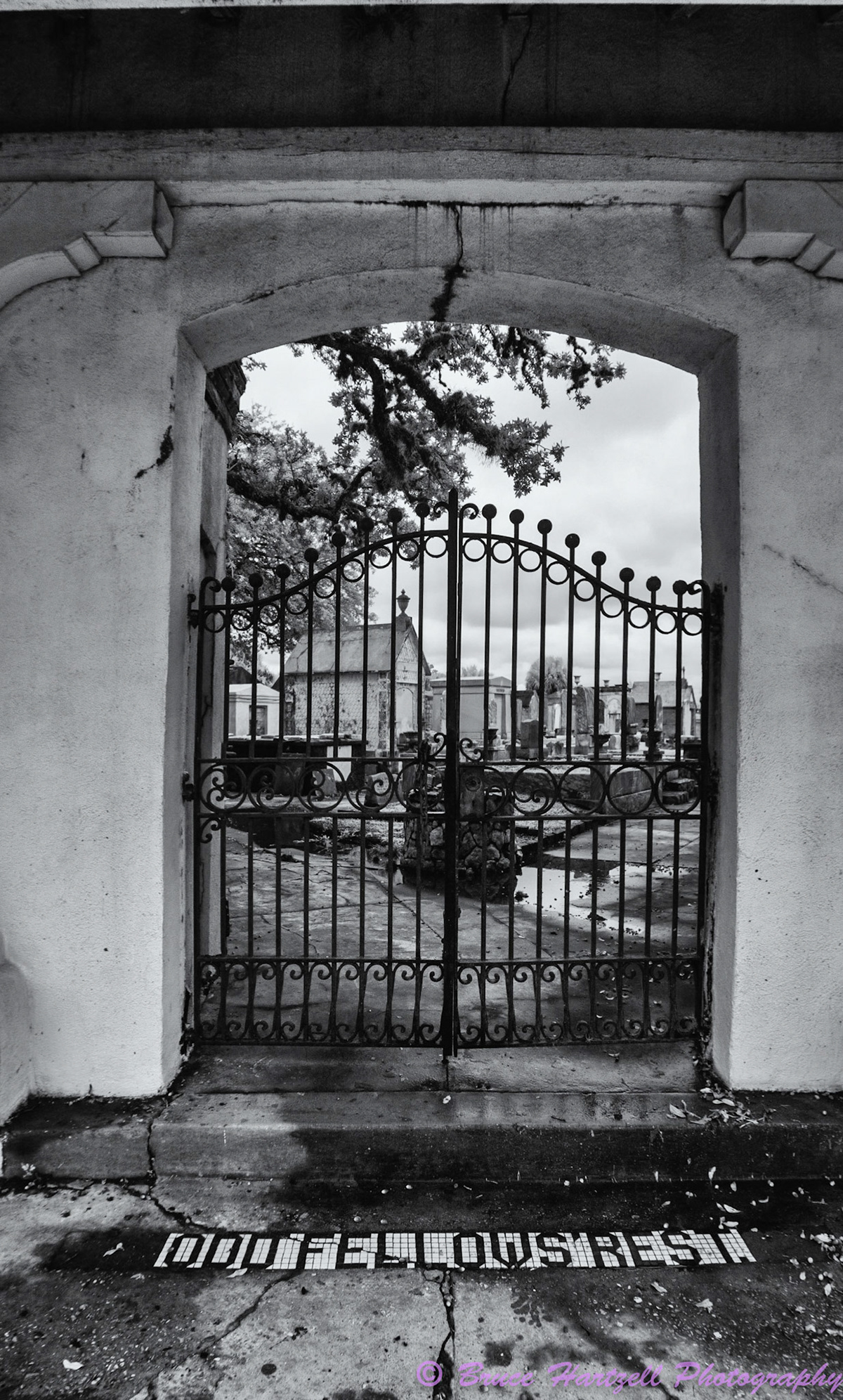 Oddfellows Cemetery, New Orleans, Louisiana. Infrared. PS, LR, Silver Effects Pro adjustments. See and share more like this at:  http://aayyeeee.myportfolio.com