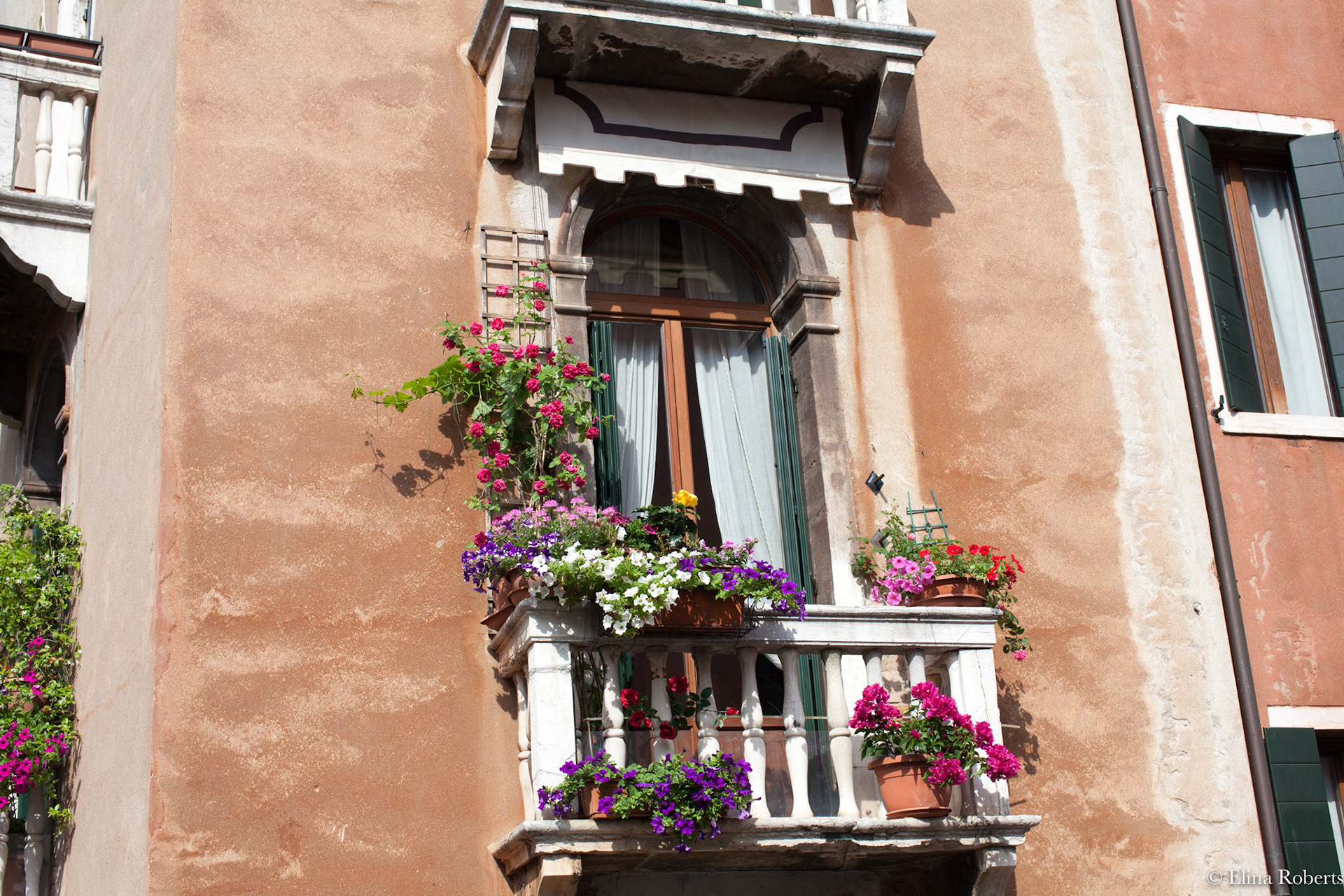 Venezia