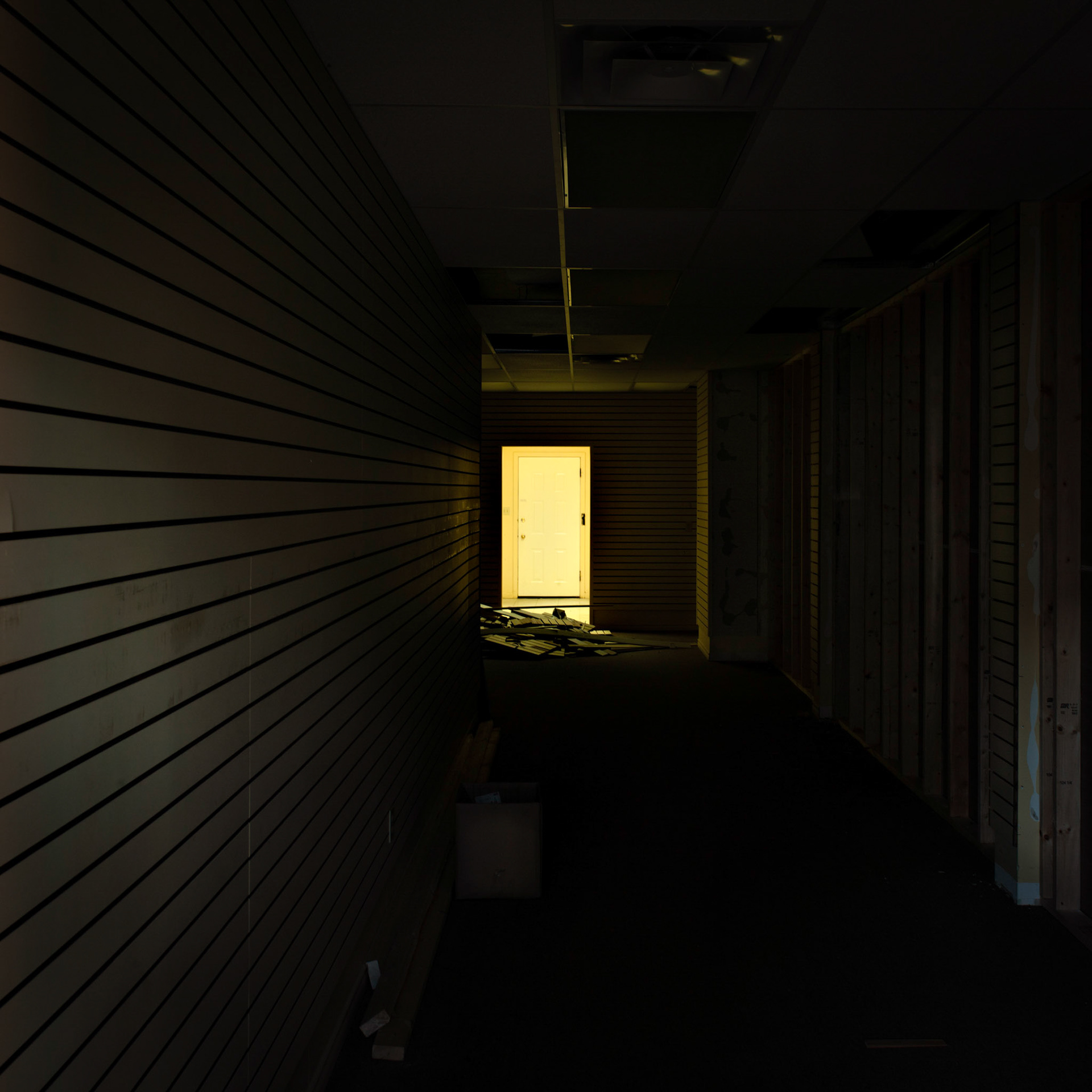 Empty Windows #11