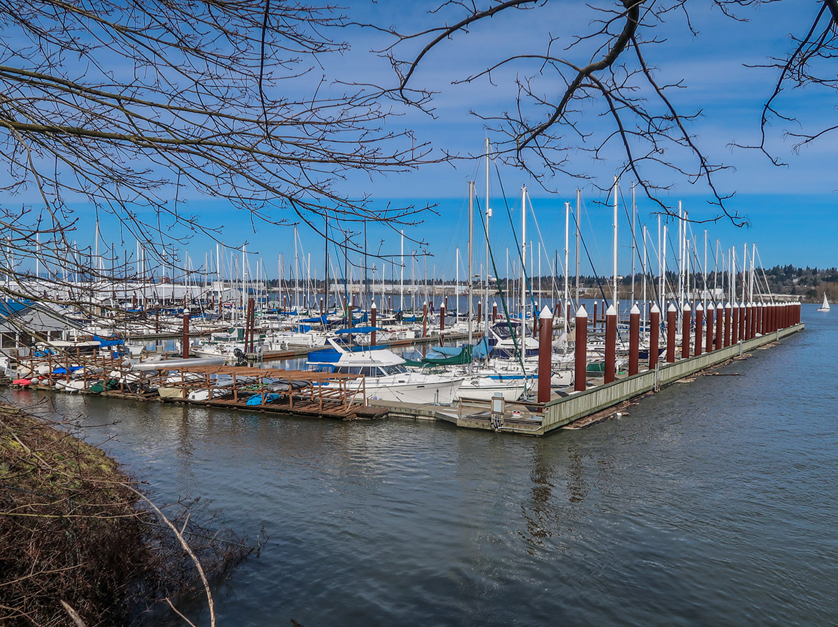 Pacific Northwest Photo Walks 3/19/2017 Portland Marine Drive Trail Walk