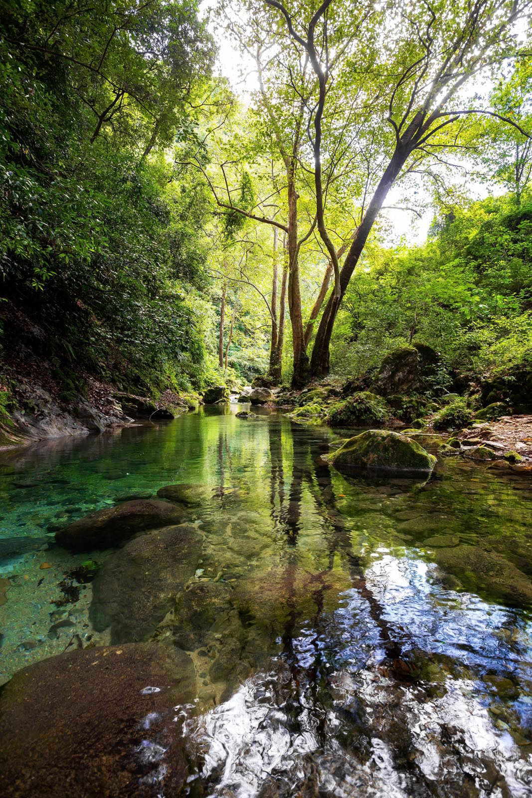 Tranquilidad | Río Escanela | 2018
